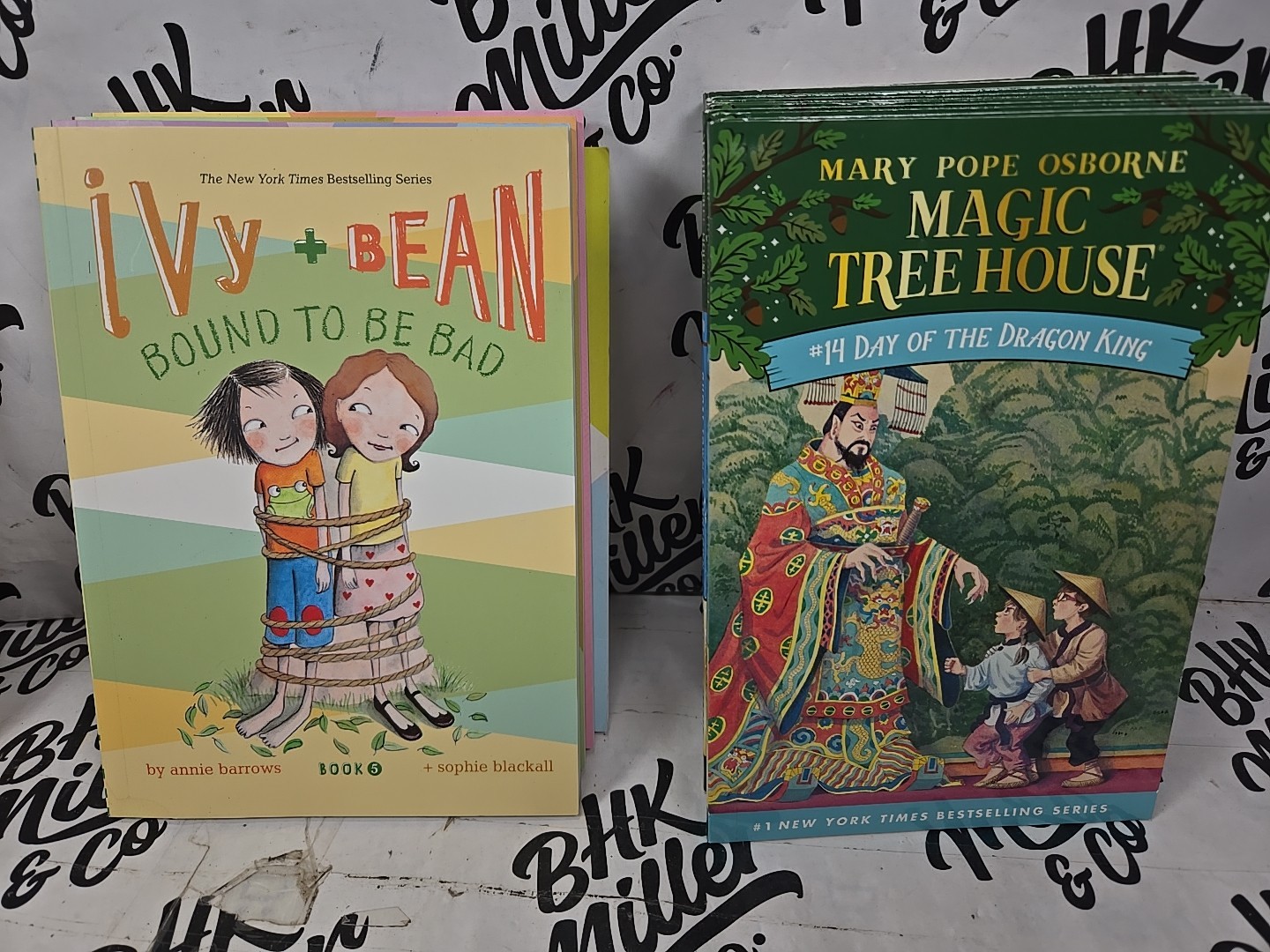 Magic Tree House & Ivy & Bean Chapter Book Lot of 22 Early Reader Books Ages 6-9