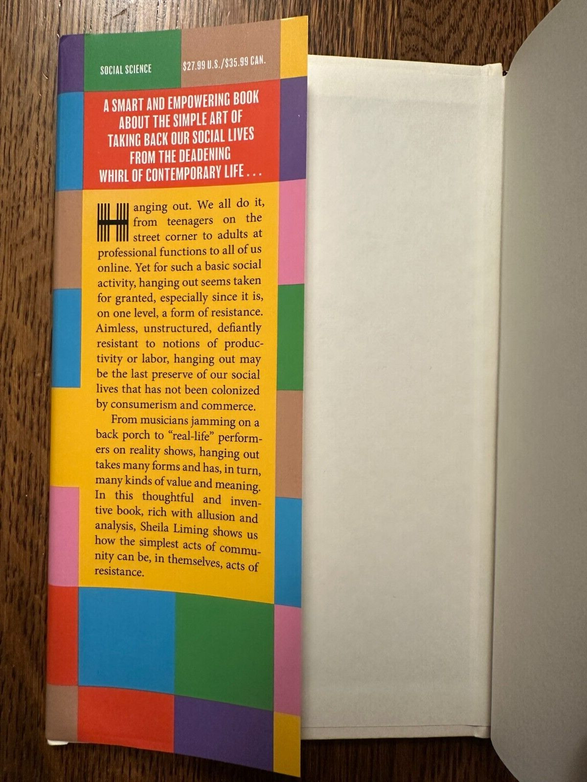 Hanging Out by Sheila Liming (2023, HC) SOCIOLOGY SOCIAL SCIENCE LIKE NEW