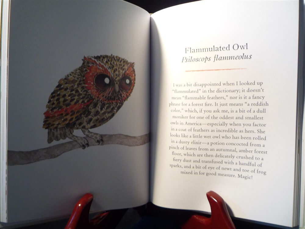 OWLS & THE CHARM OF GOLDFINCHES- TWO Hardcover Matt Sewell Charming Animal Books