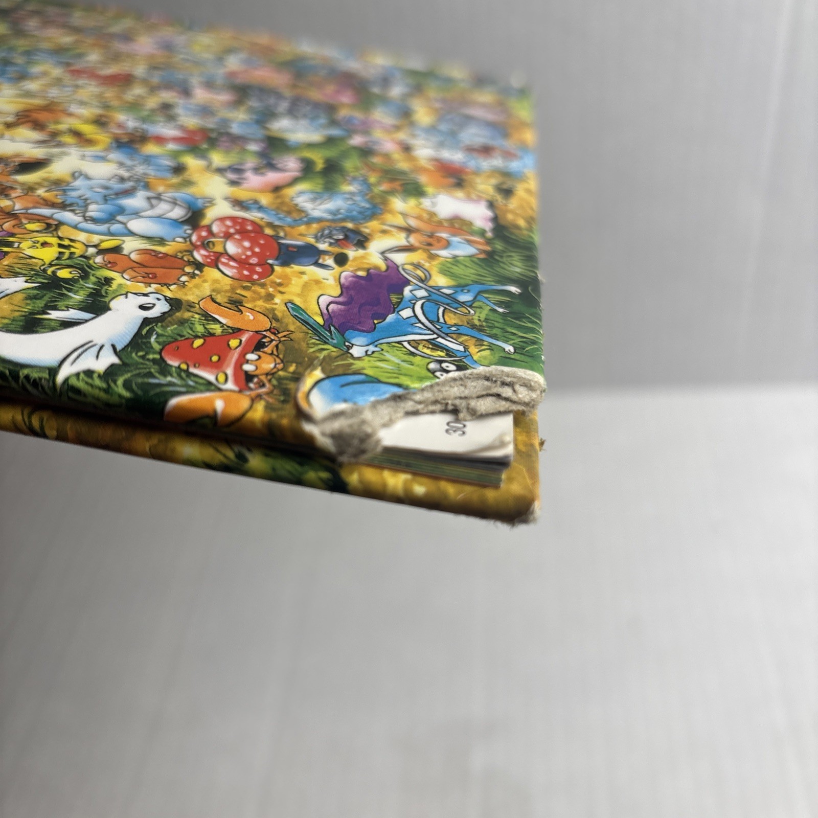 LET’S FIND POKÉMON! GOLD & SILVER Art By Kazuhiro Aihara Hardback Colorful