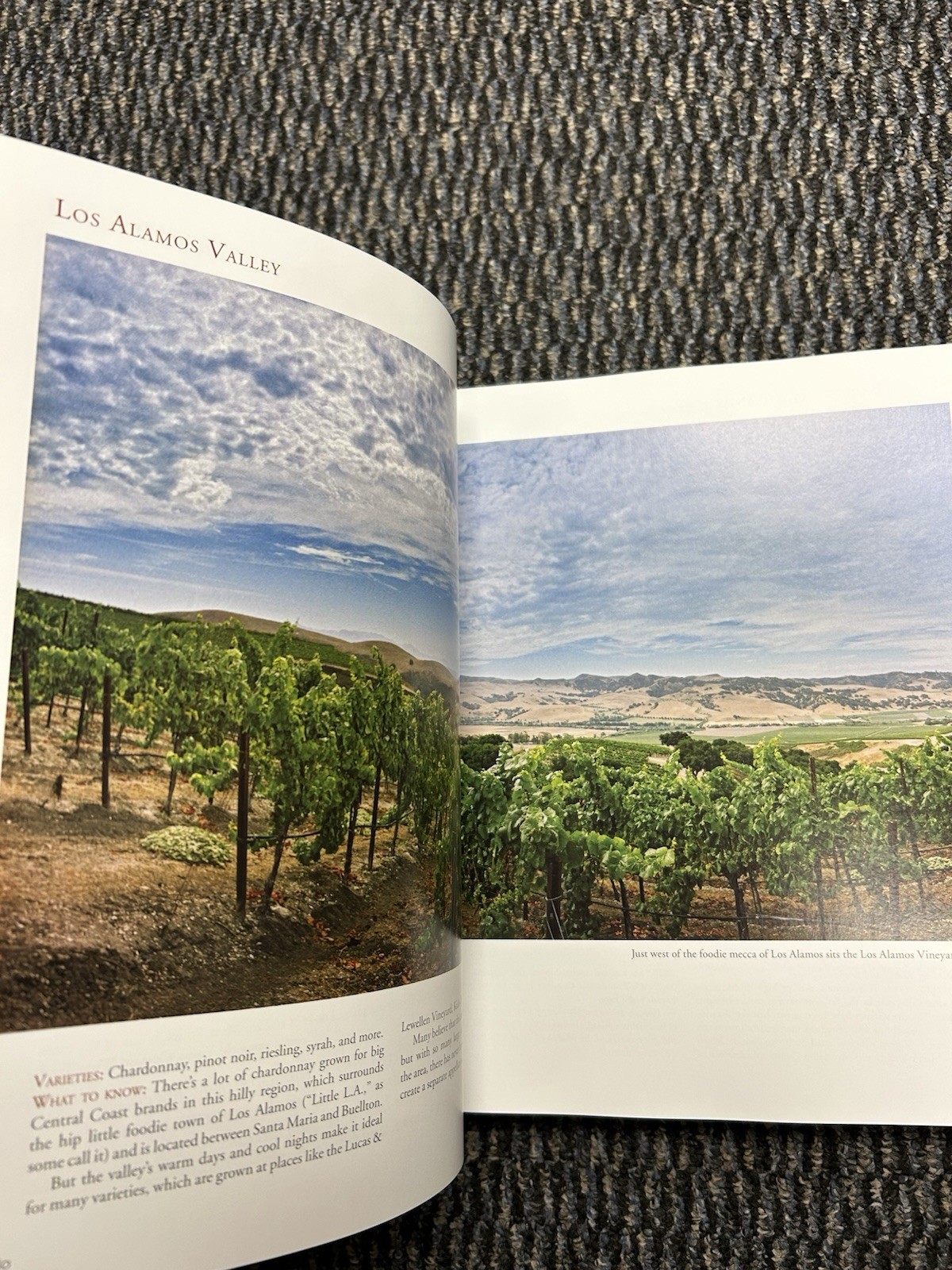 Vines & Vision : The Winemakers of Santa Barbara County by Matthew Kettmann