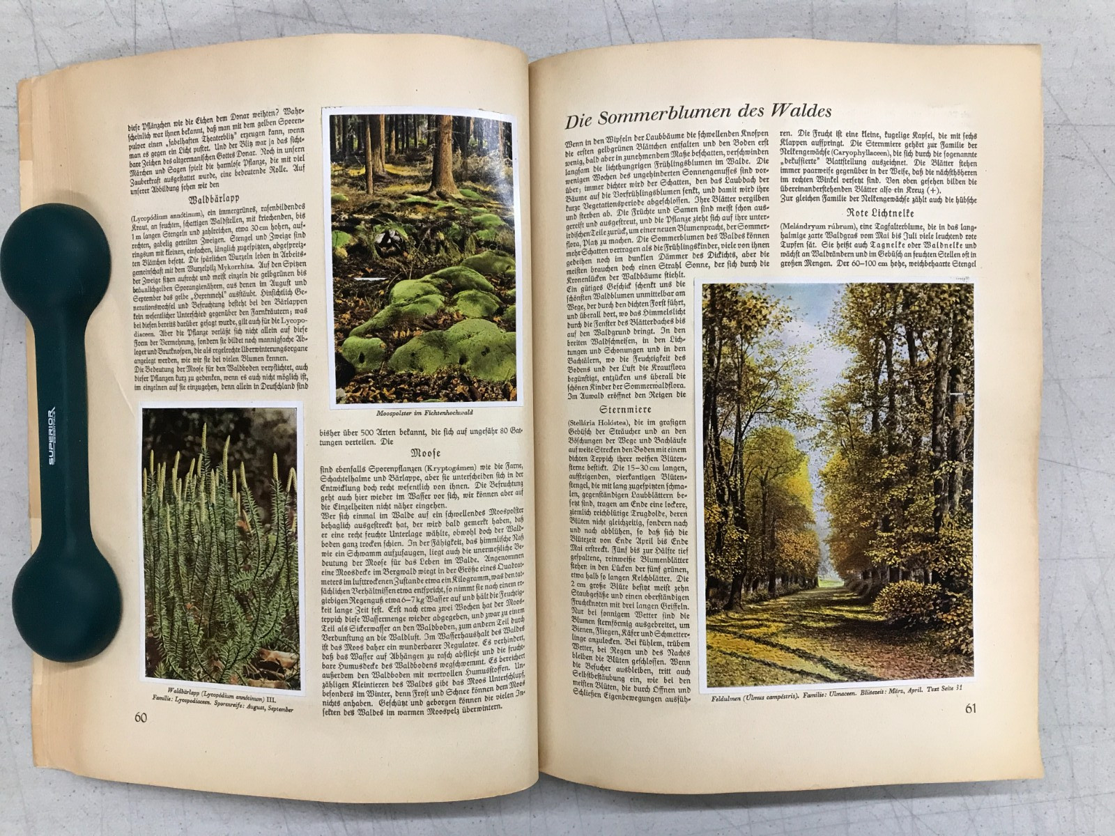 Aus Wald Und Flur – Two German Books 1937/1938 Plants and Animals, Set of 2 E-77