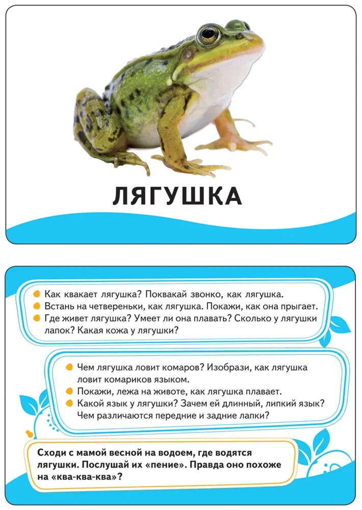 Животные. Развивающие карточки 0+ Kids Book in Russian