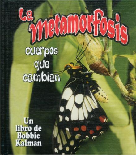 La Metamorfosis: Cuerpos Que Cambian (Metamorphosis: Changing Bodies) (Cambios