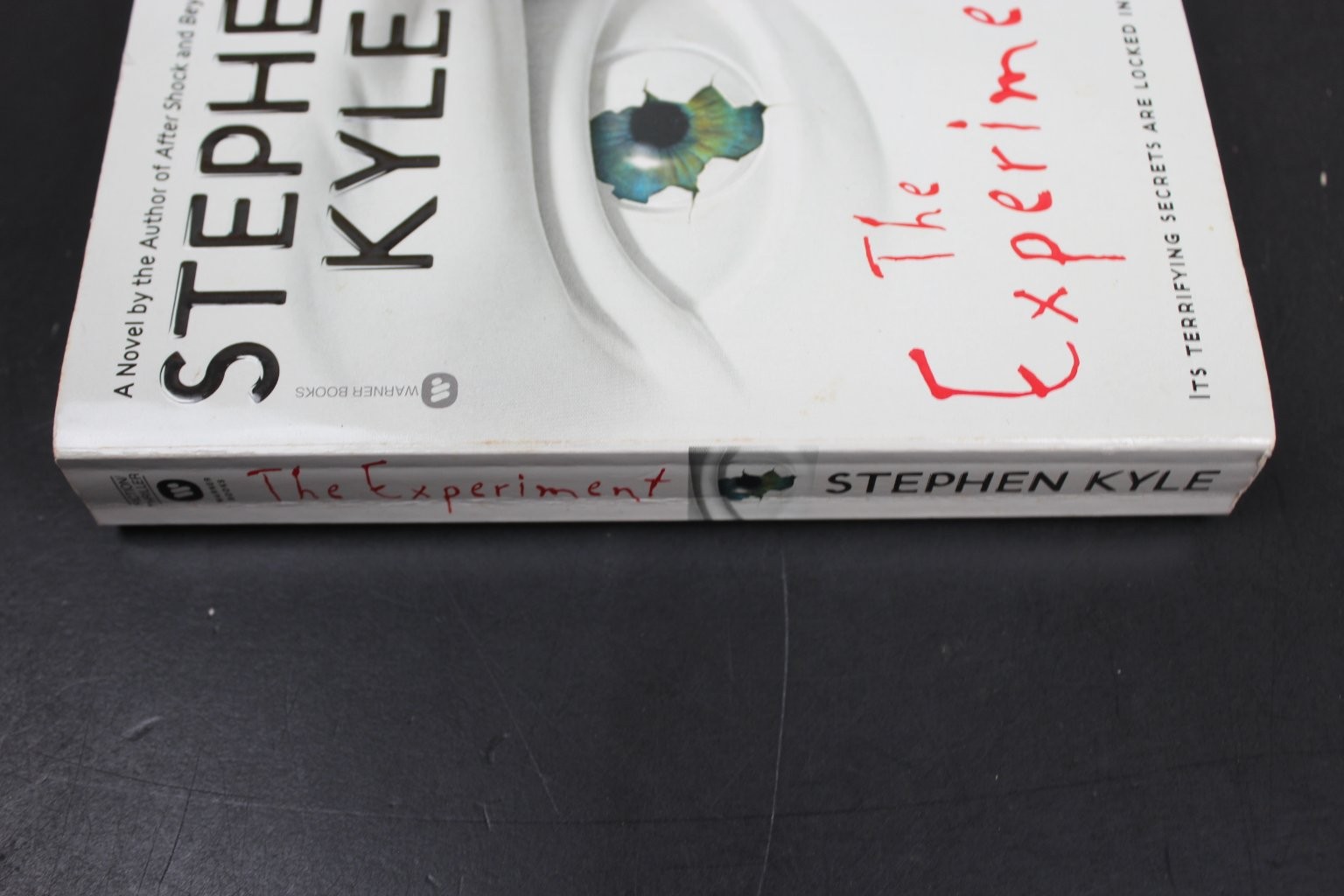 The Experiment Stephen Kyle 2003 First Printing Thriller Warner Books PB