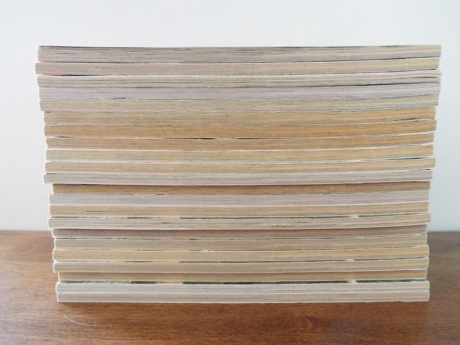 Lot 22 Magic Tree House Guided Reading #6 Afternoon on the Amazon Books