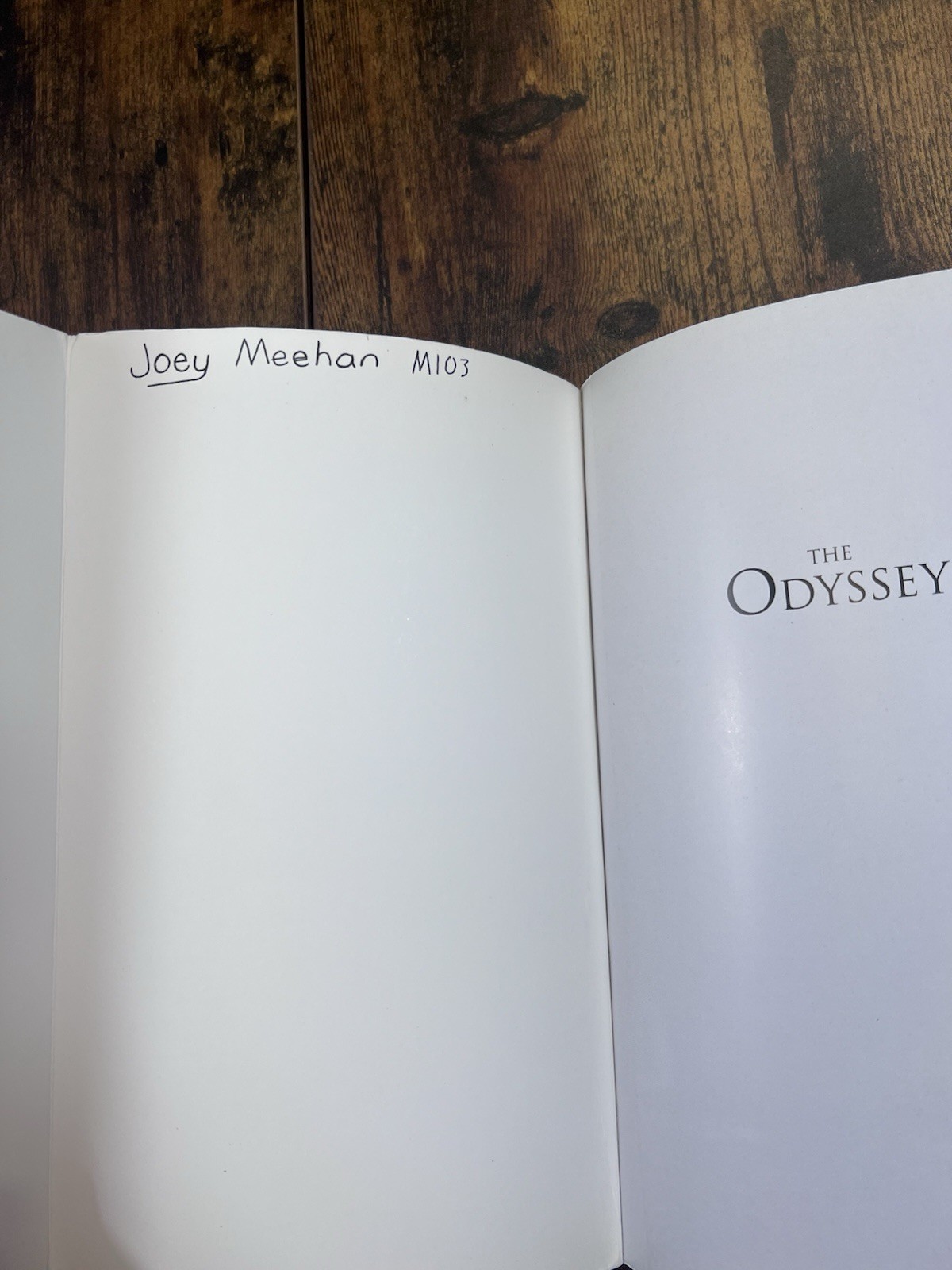 The Odyssey Graphic Novel Adaptation by Gareth Hinds Paperback Softback Used