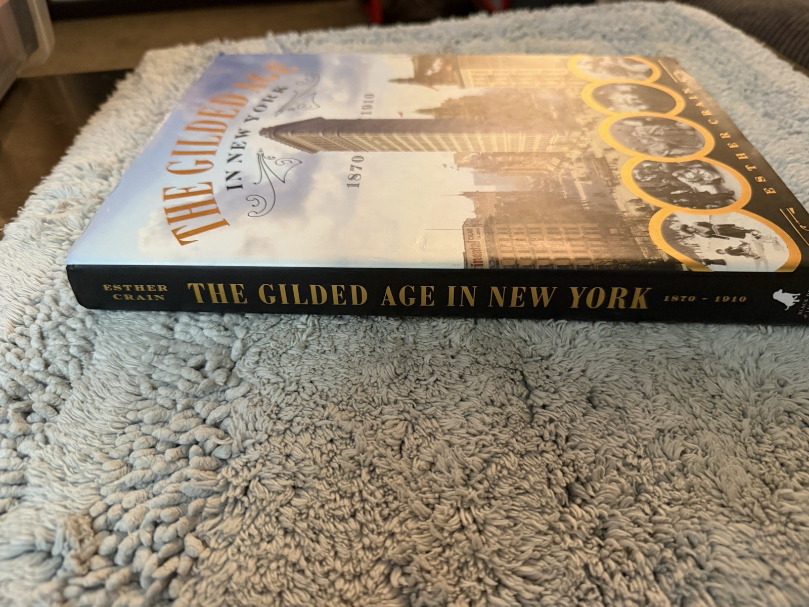 The Gilded Age in New York 1870-1910 by Esther Crain