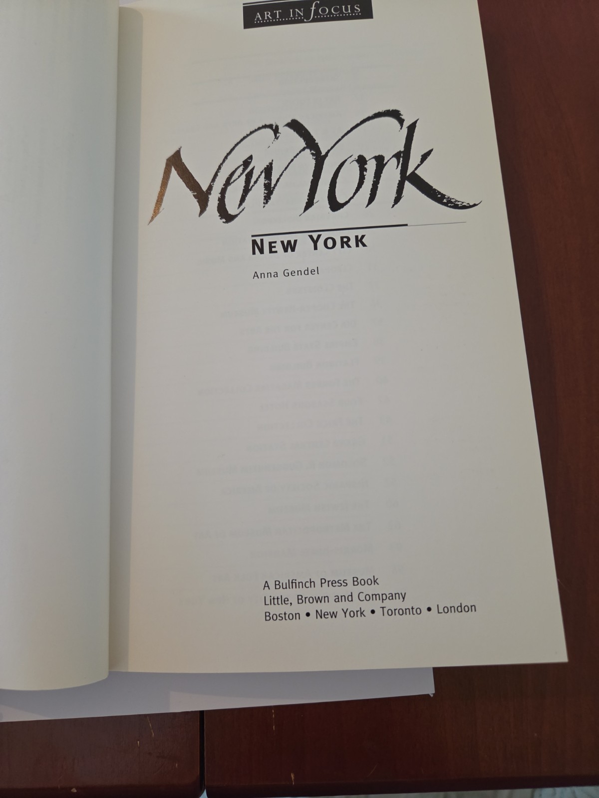 New York (Art in Focus) by Anna Gendel 1995 Bulfinch Press Art Travel Guide)