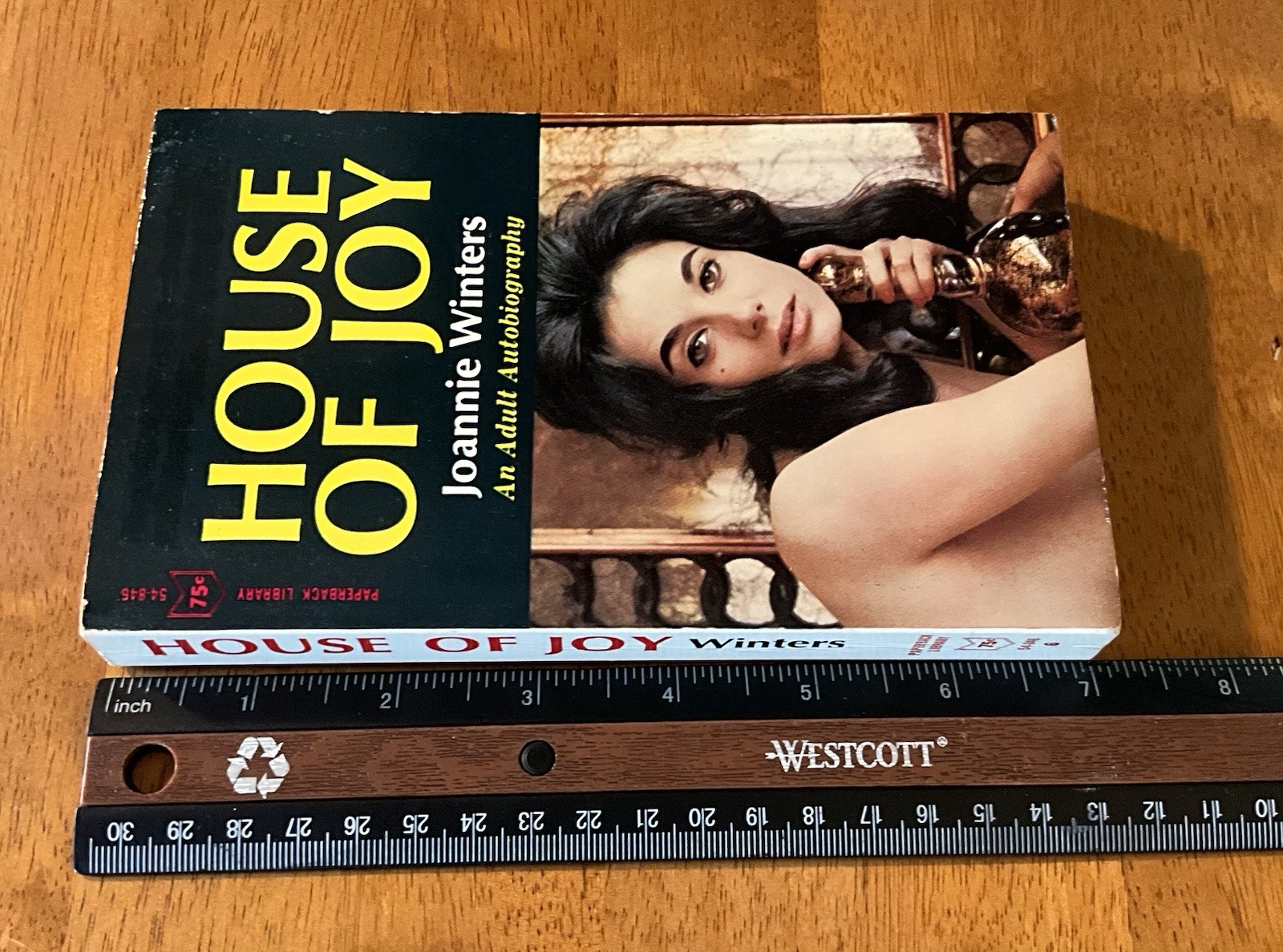 House of Joy Joannie Winters Adult Autobiography 1966 Papberback Library Sleaze