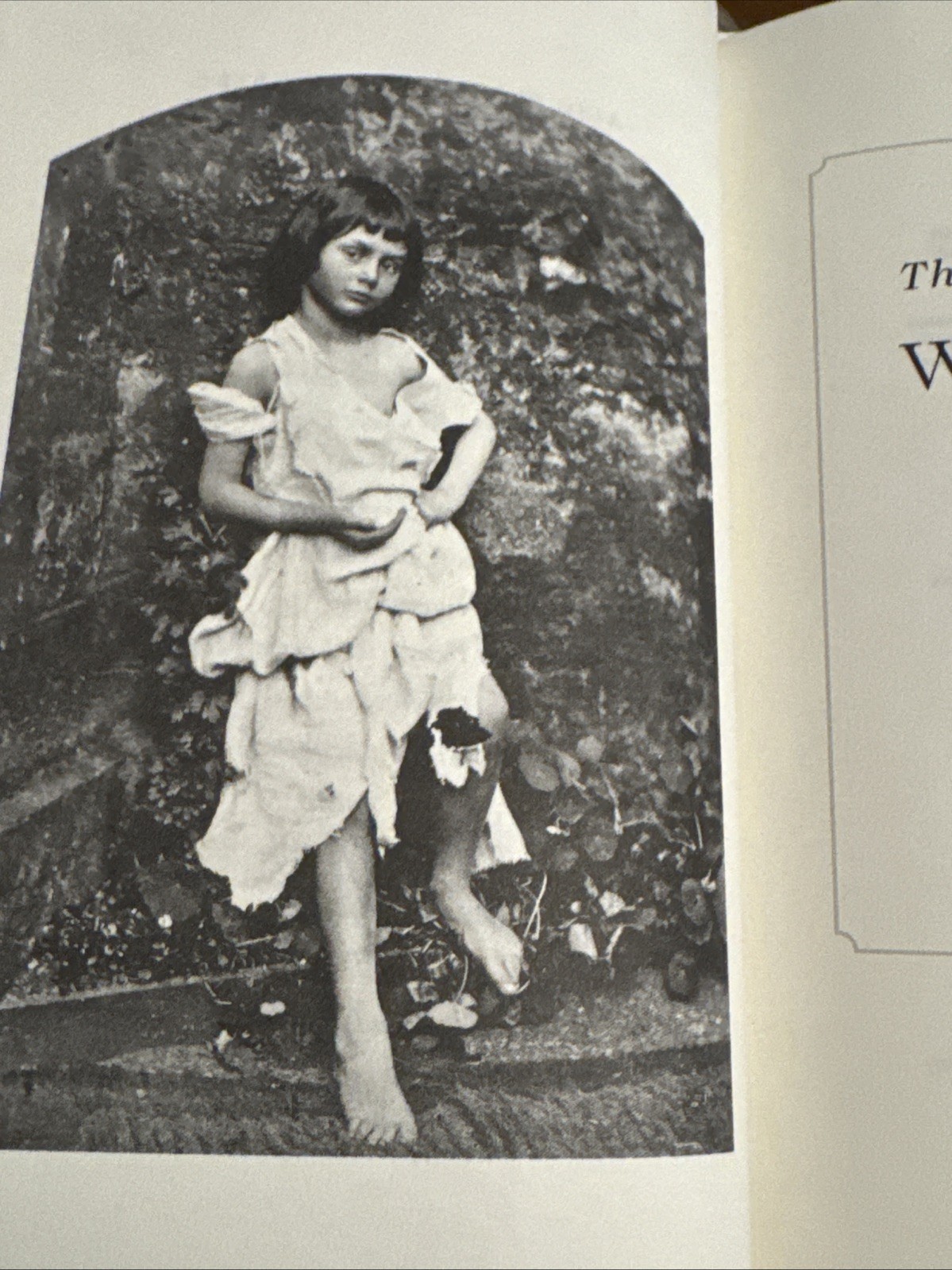Alice Behind Wonderland by Simon Winchester (2011, Hardcover)