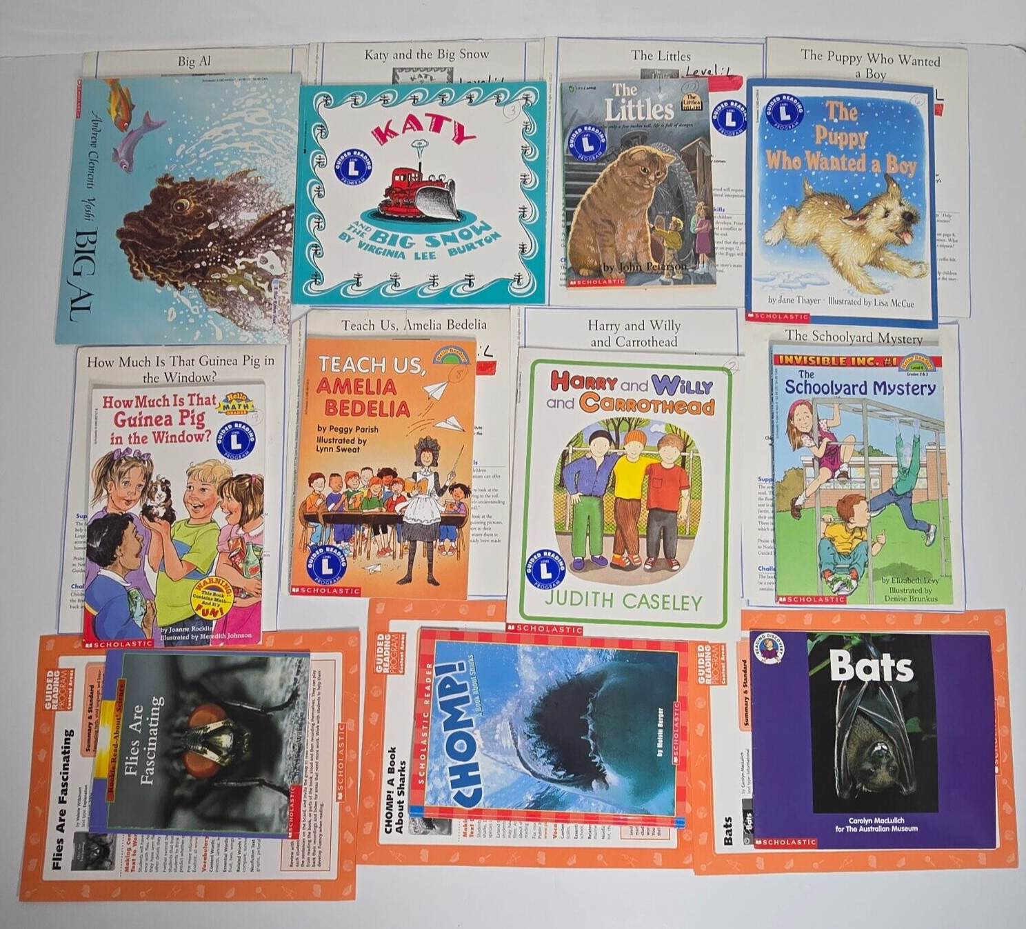 37 Guided Reading Children Books Lot Teacher Grades 2-3 Level L Scholastic Learn