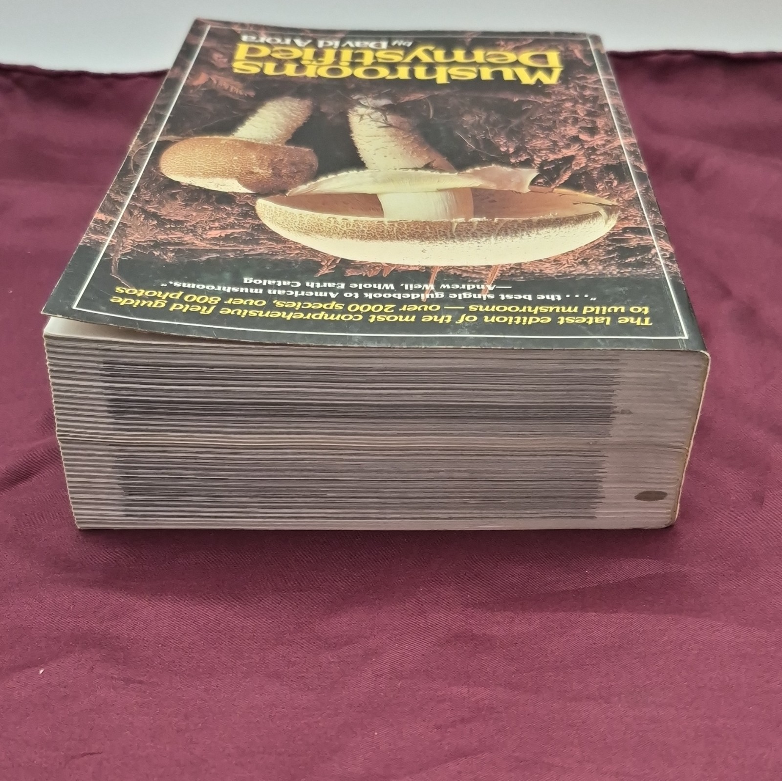 Mushrooms Demystified by David Arora 2nd Ed 1986 Trade PB Ten Speed Press Illus…
