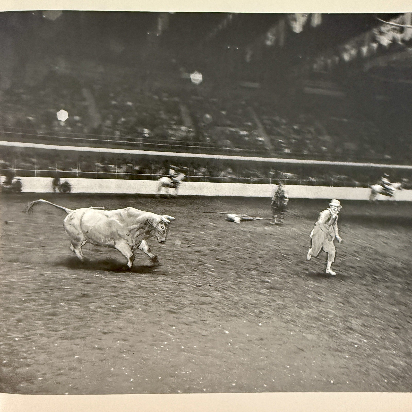 Garry Winogrand Stock Photographs Fort Worth Fat Stock Show Rodeo First Edition