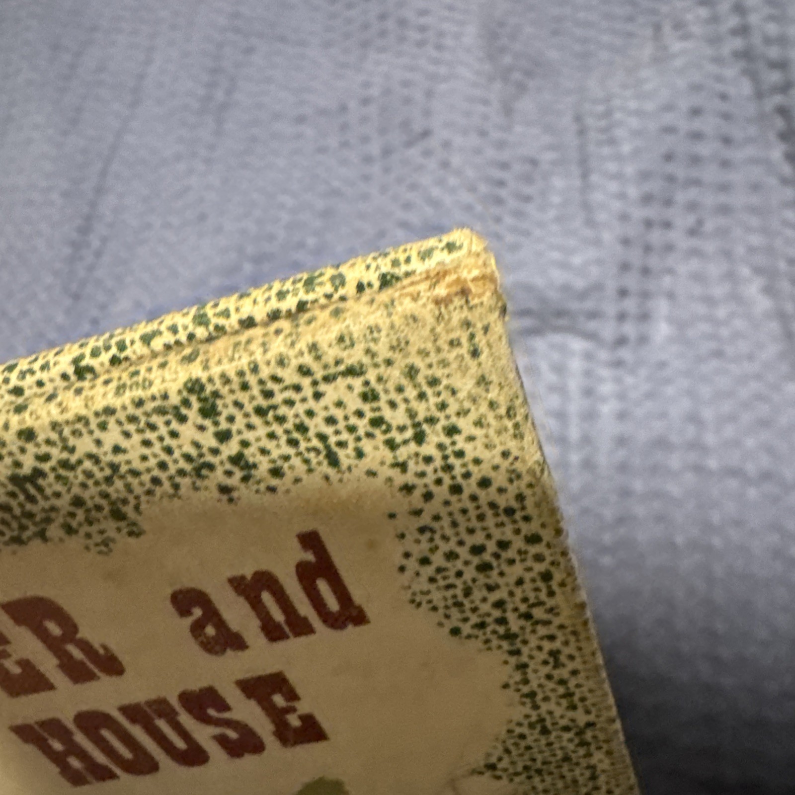 Dan Frontier and The New House William Hurley 1971 Hardcover Vintage