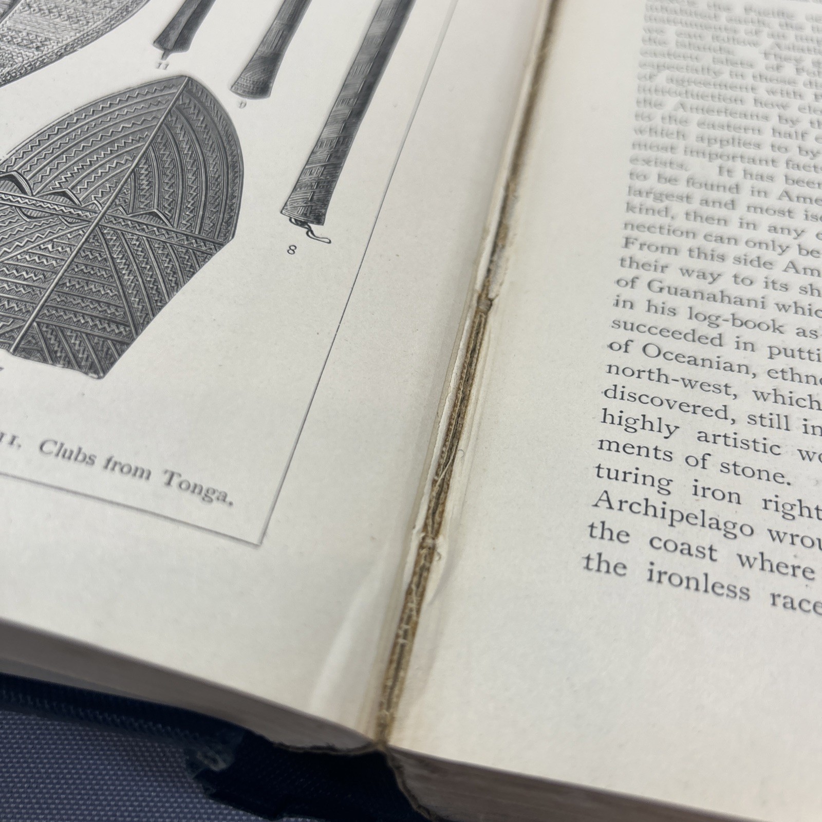The History Of Mankind by F Ratzel HC 1896