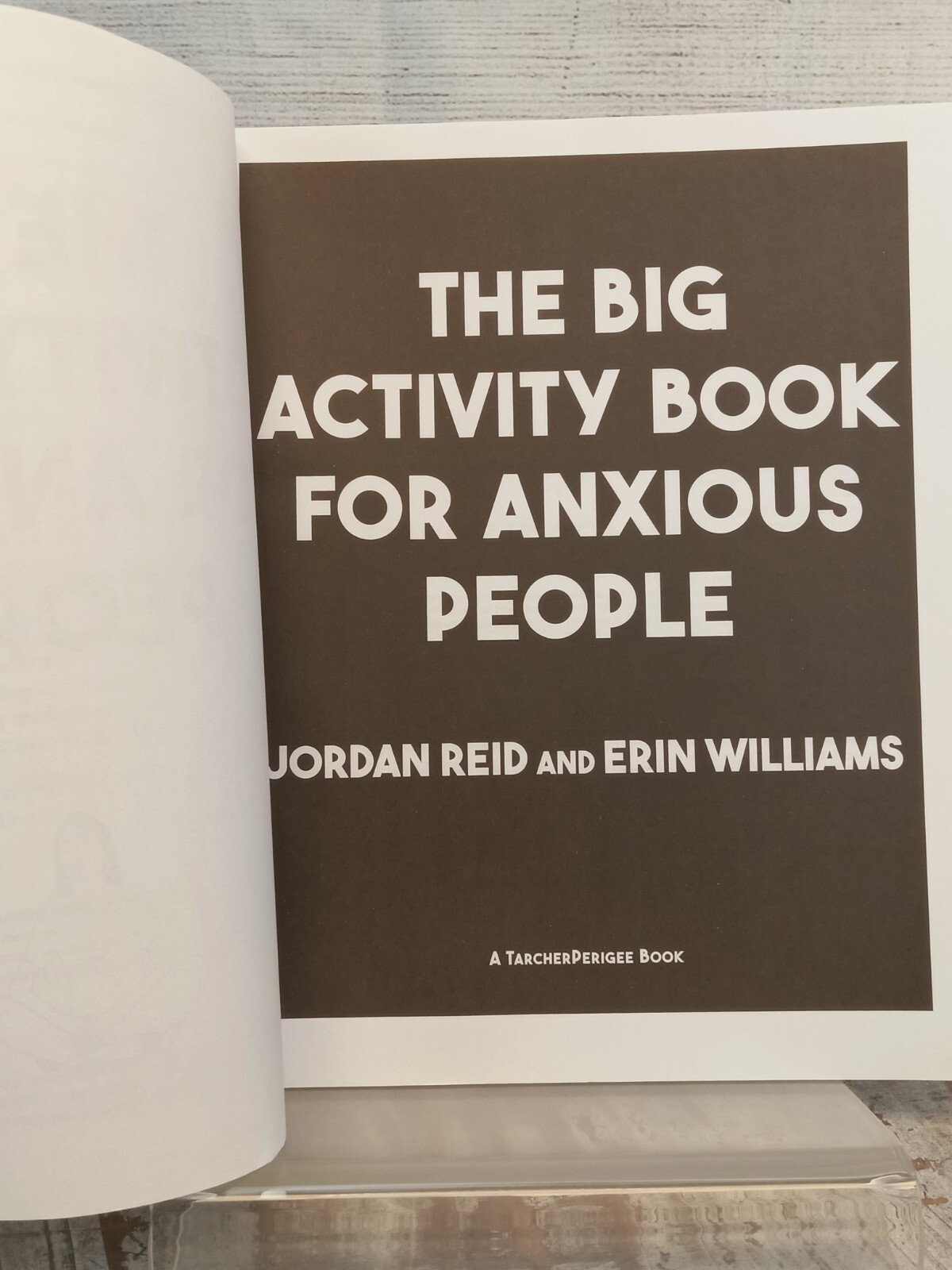 Big Activity Book for Anxious People by Erin Williams and Jordan Reid 2019 PB