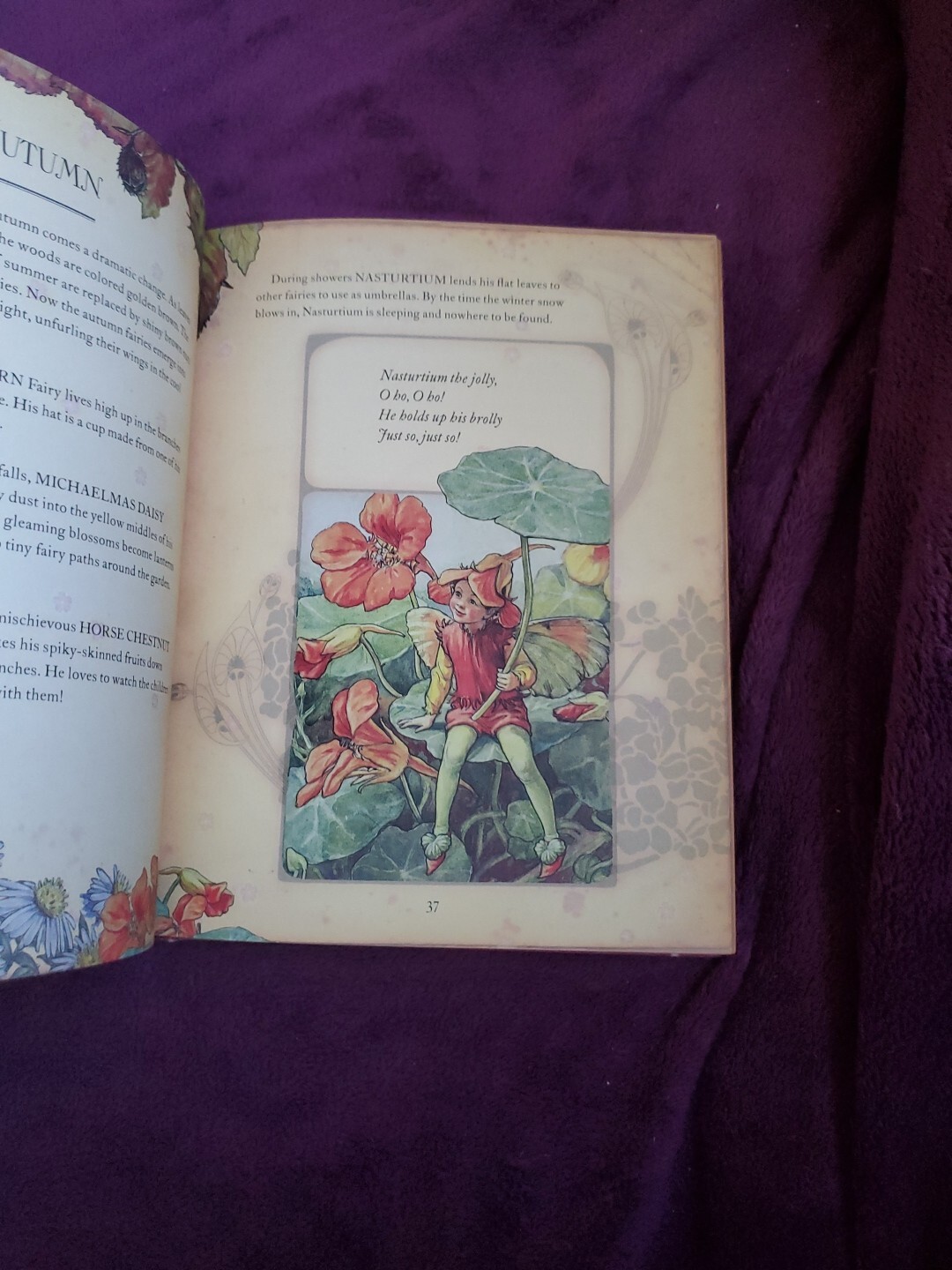 The Girls’ Book of Flower Fairies (HC, 2008) Frederick Warne (Crafts & Stories)