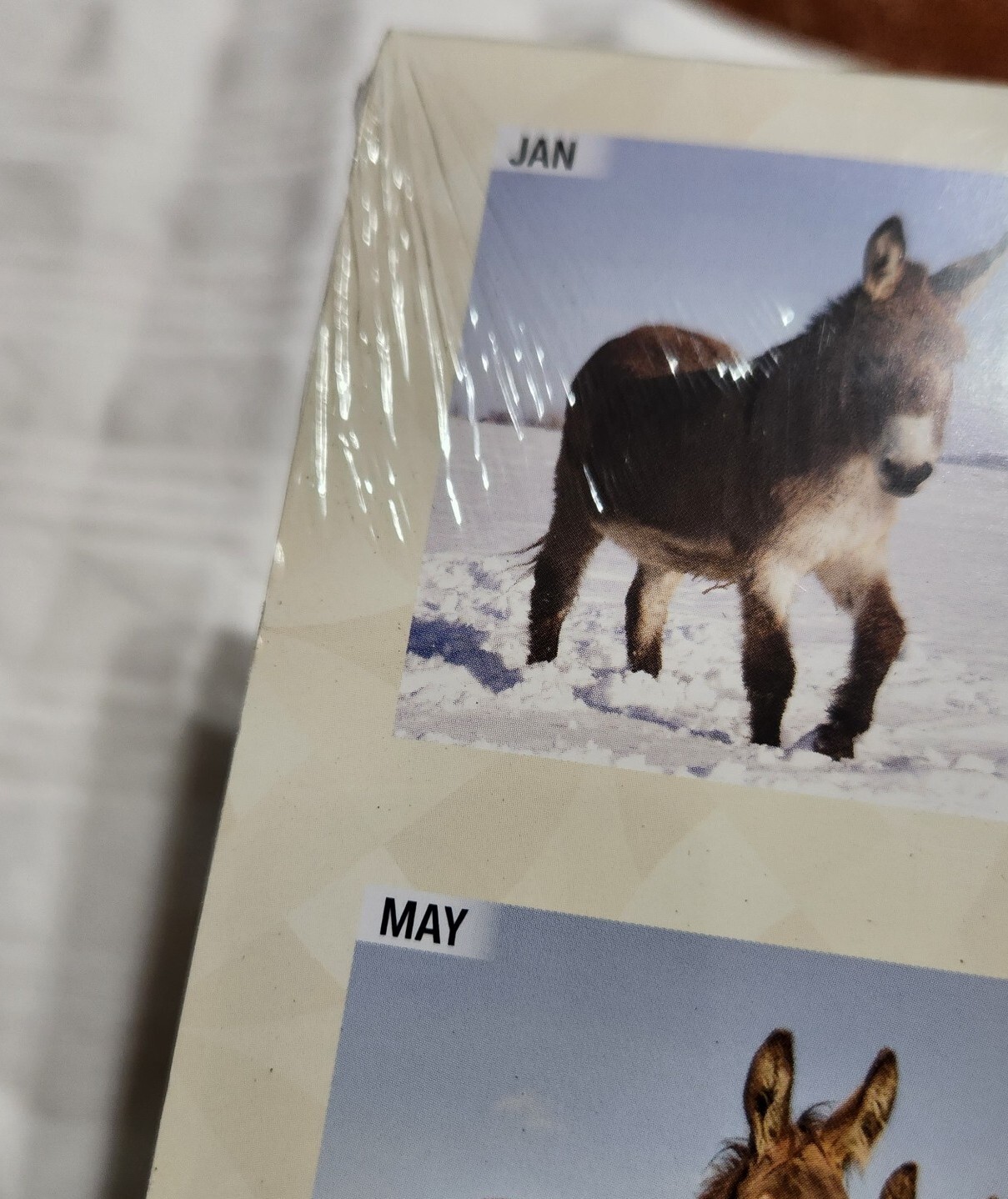 BROWN TROUT, DONKEY’S 2023 SQUARE WALL CALENDAR NEW FARM ANIMAL