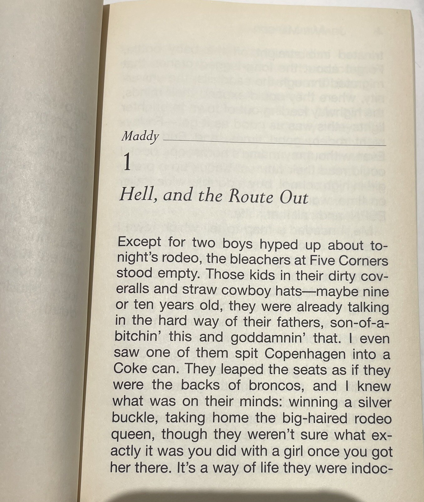 Along Came Mary a Novel By Jo-Ann Mapson Large Print 2003 Unabridged Dust Jacket