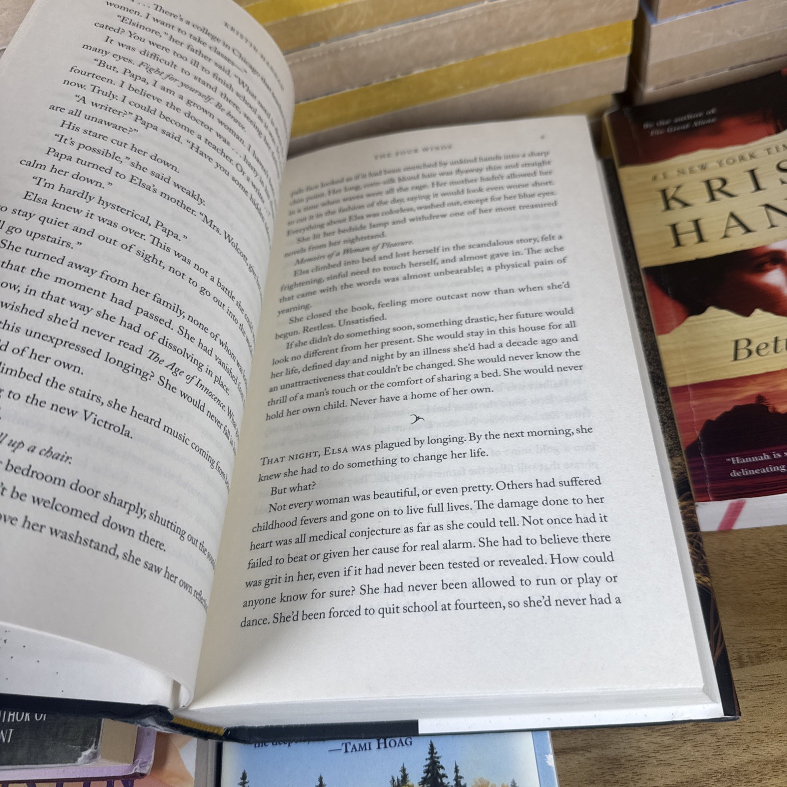 Lot 7 Kristin Hannah Books 2 Hardcover 5 Paperback Mystic Lake Fly Away Firefly