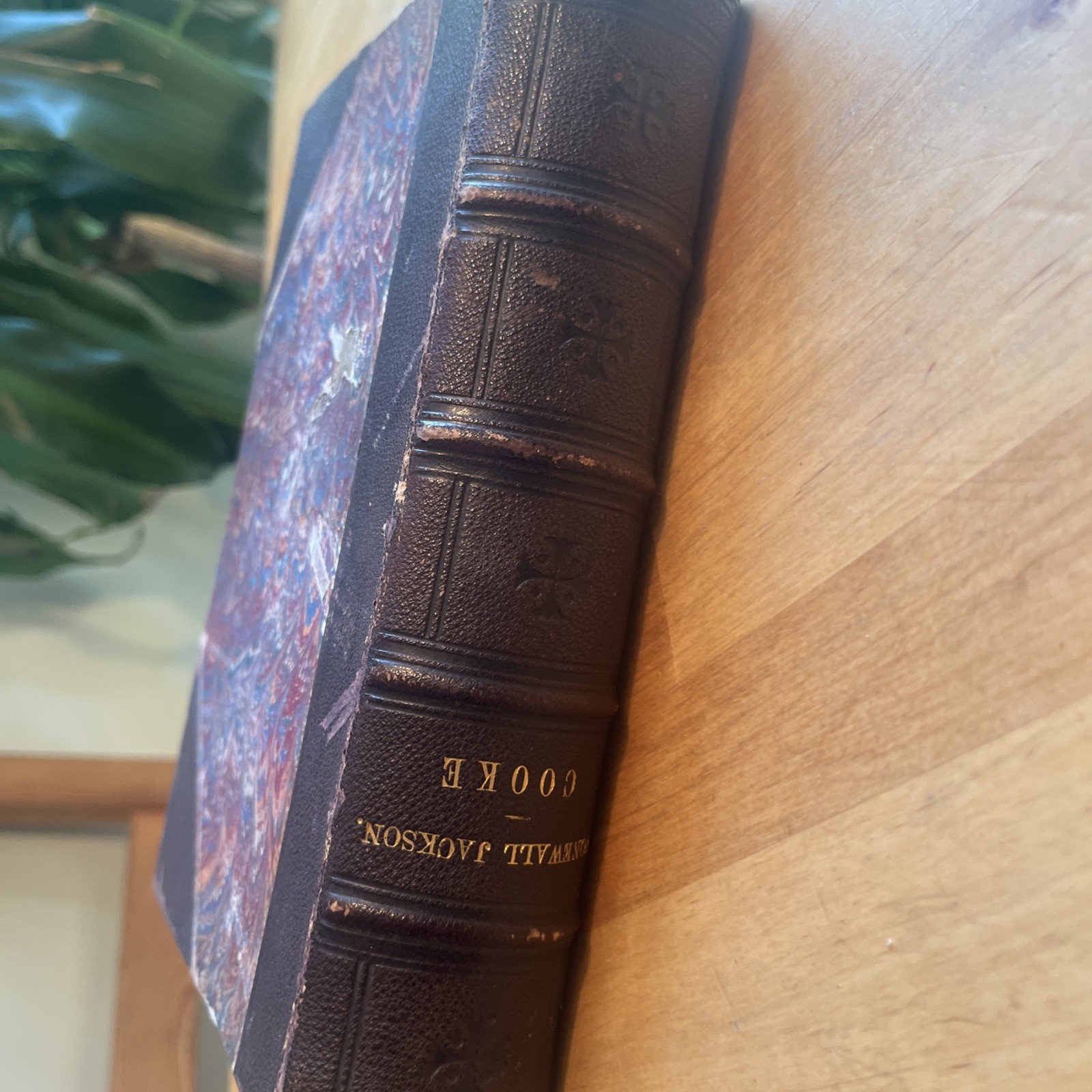 Stonewall Jackson: A Military Biography. John Cooke. 1876 D Appleton Printing