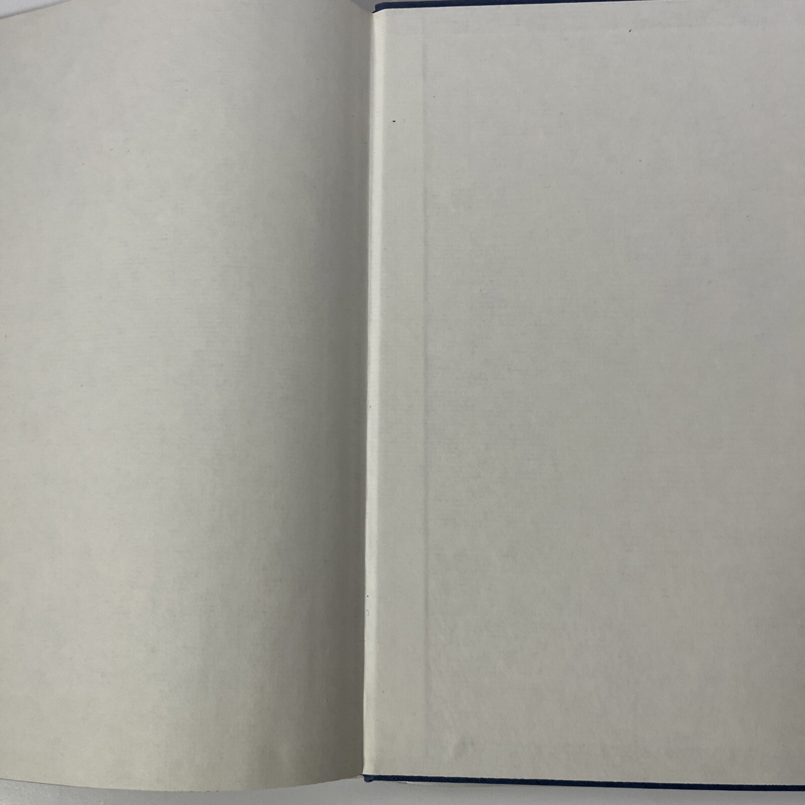 Stallion of a Dream, Robert Vavra, Collins, Hardcover, 1st Edt 1980