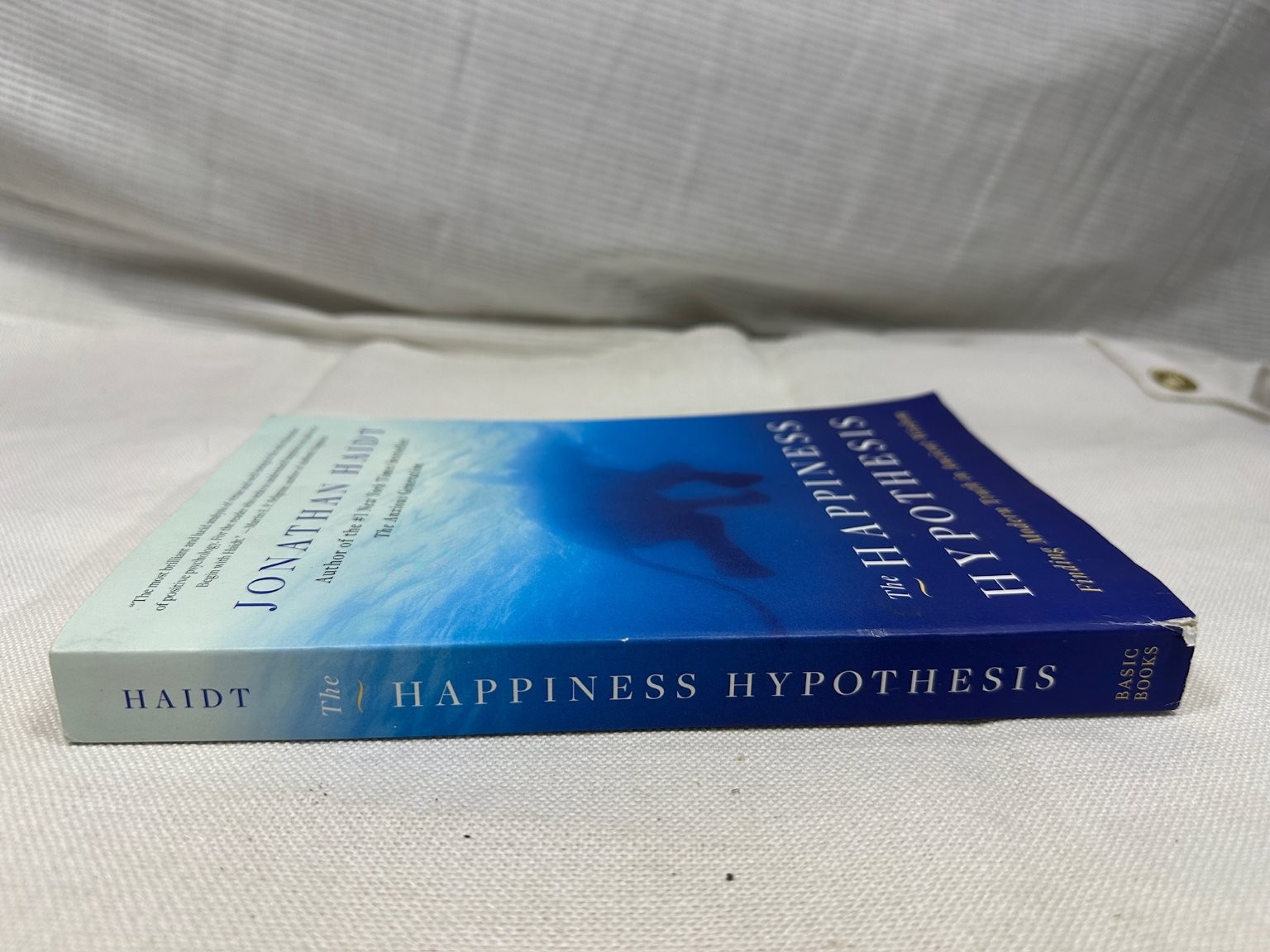 Happiness Hypothesis Jonathan Haidt 2006 Philosophy Psychology Basic Books