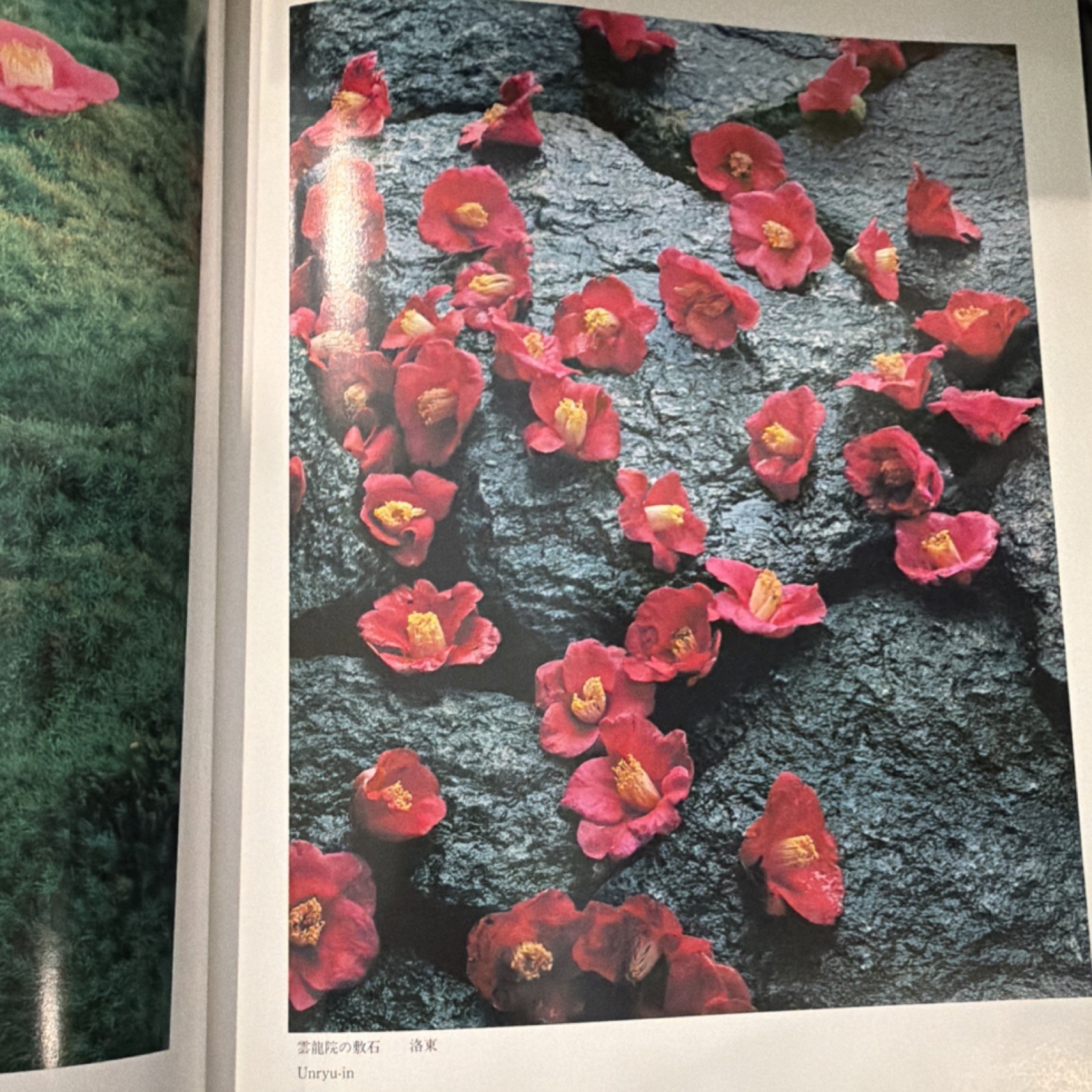 Kyoto Gardens K Yamamoto (1989, First English Ed, HC, Mitsumura) Japanese Design