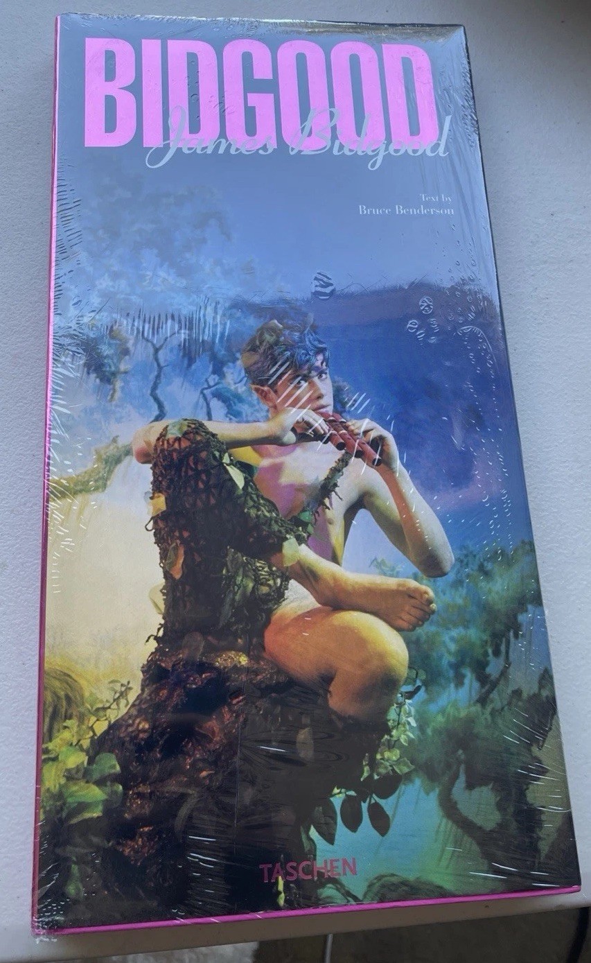 James Bidgood by Bruce Benderson (1999, Hardcover)