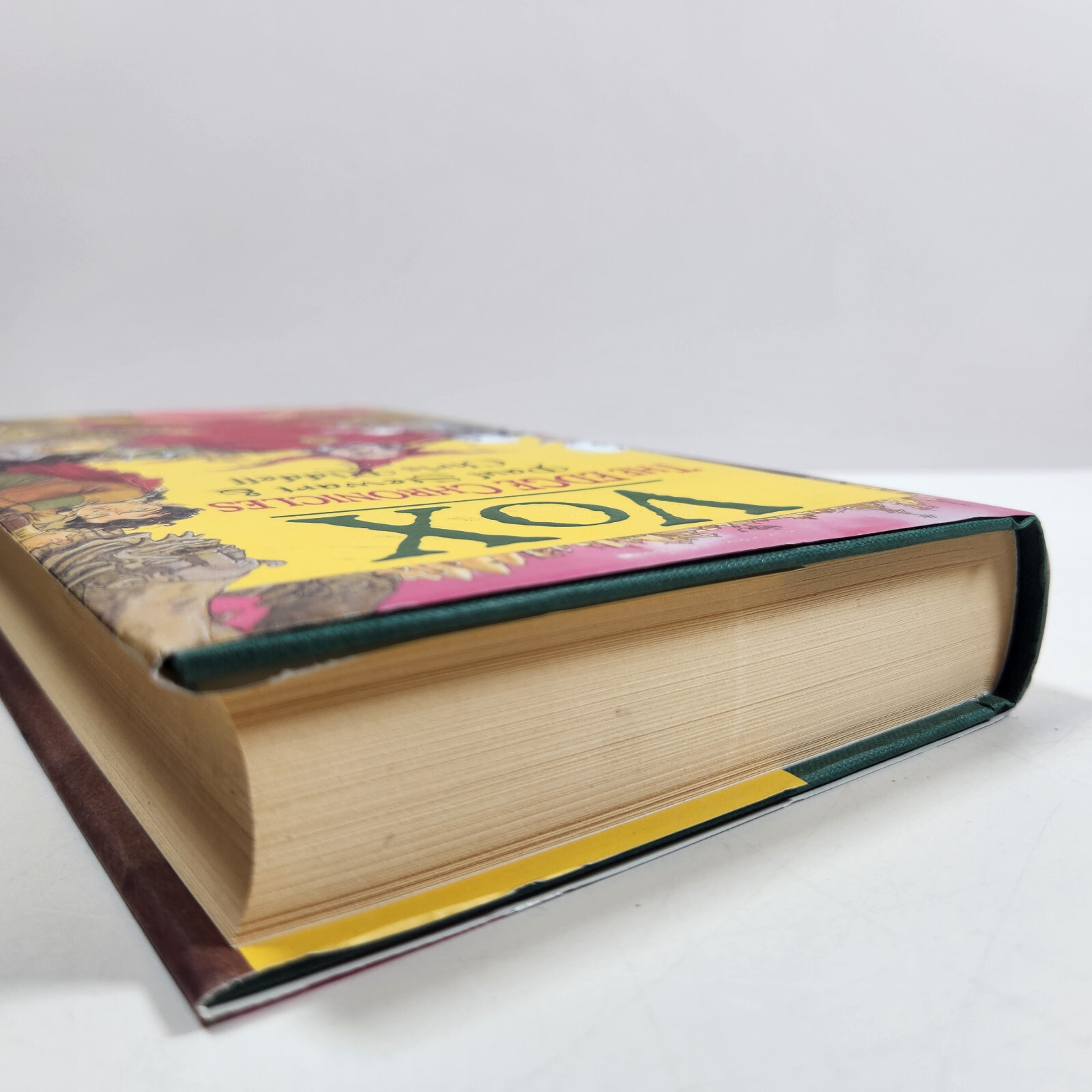 DUAL SIGNED Vox Paul Stewart Chris Riddell UK 1st Ed Sky Pirates Fantasy HC