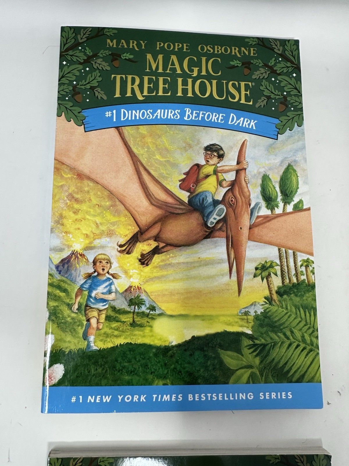 Magic Tree House Books 1-4 Series Set by Mary Pope Osbourne NEW