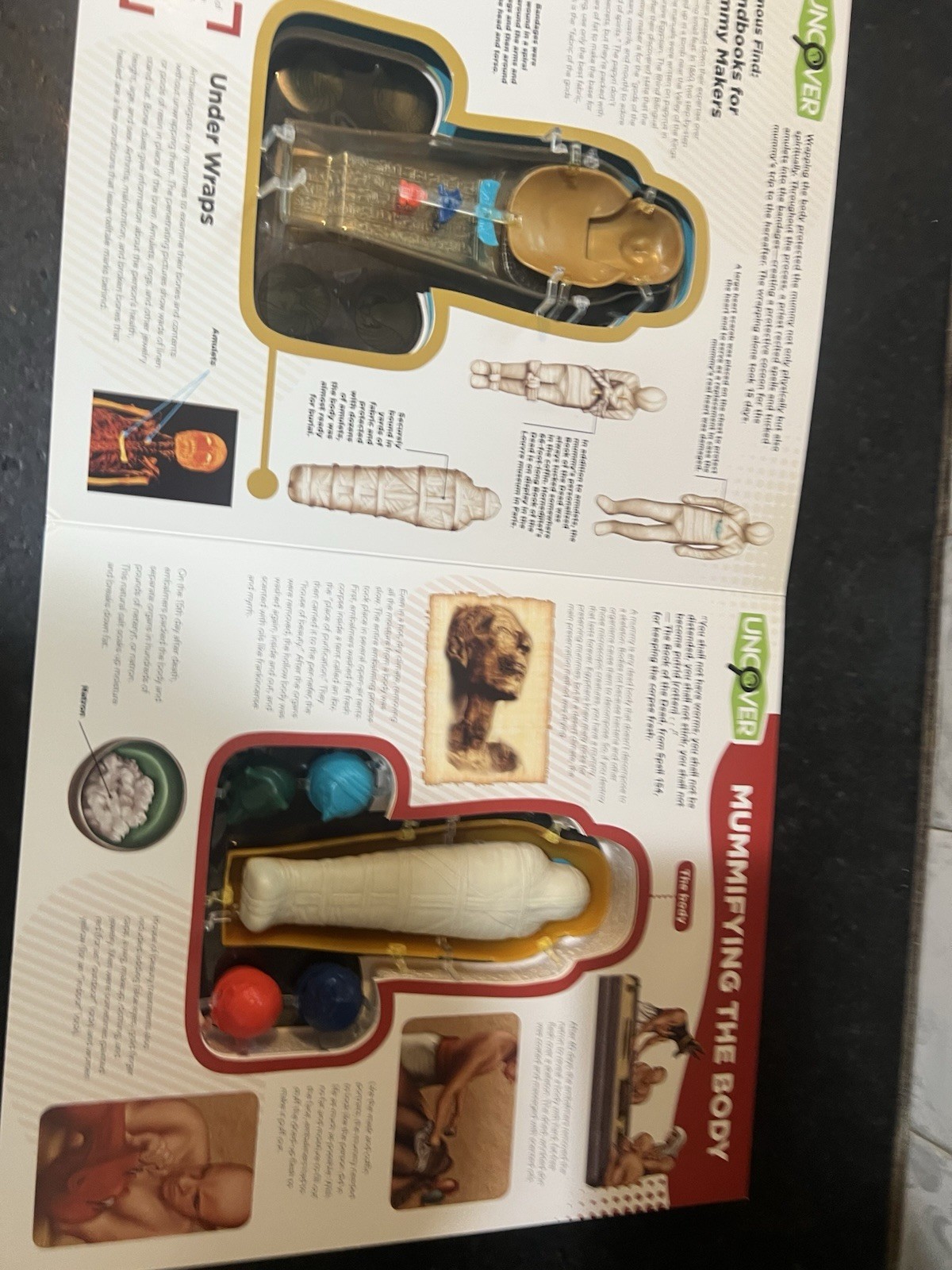 Uncover an Egyptian Mummy ,Large Book 12”