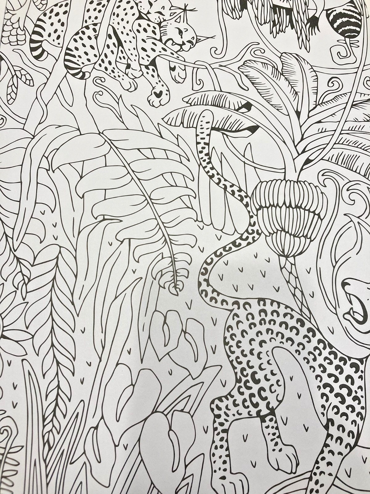 KALEIDOSCOPE COLOURING: FANTASTICAL POSTER ART 20 Pages of Custom Poster Art