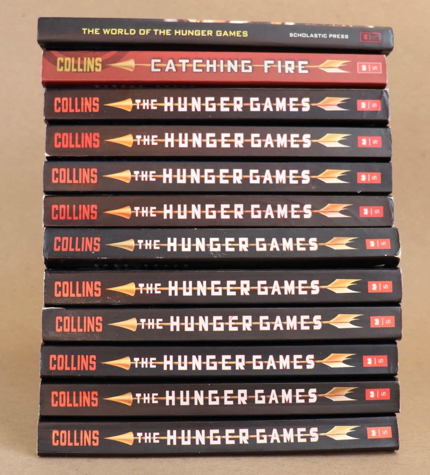 10 THE HUNGER GAMES by Suzanne Collins GUIDED READING Teachers Set + Extras