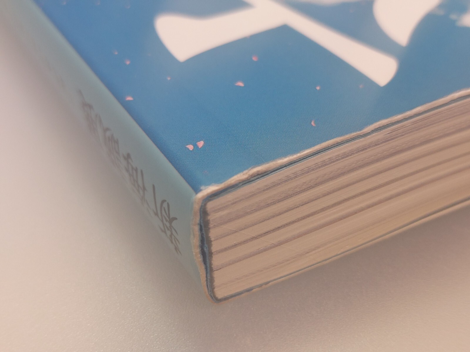 Makoto Shinkai Exhibition – Animation Production Feature Book