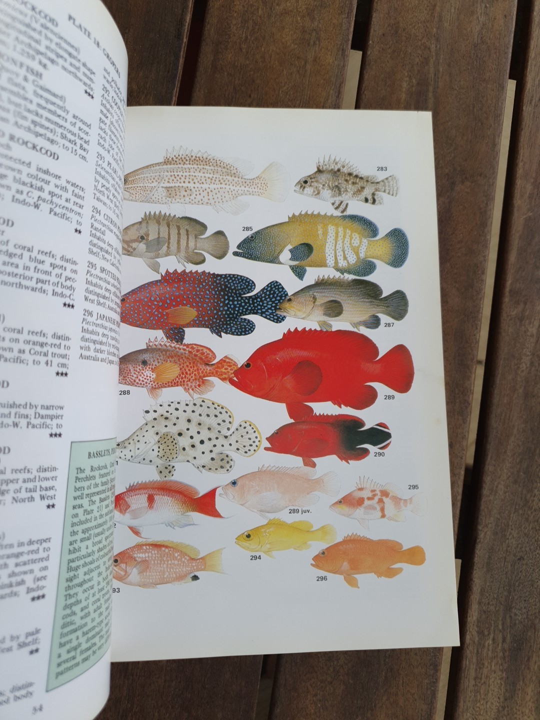 Marine Fishes of North-Western Australia Gerald R Allen 1988 Superior Plates
