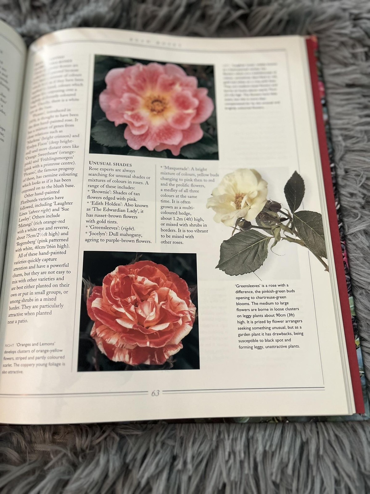 Roses David Squire Gardening Book Practical Guide Flowers Hardcover 1995 Vintage