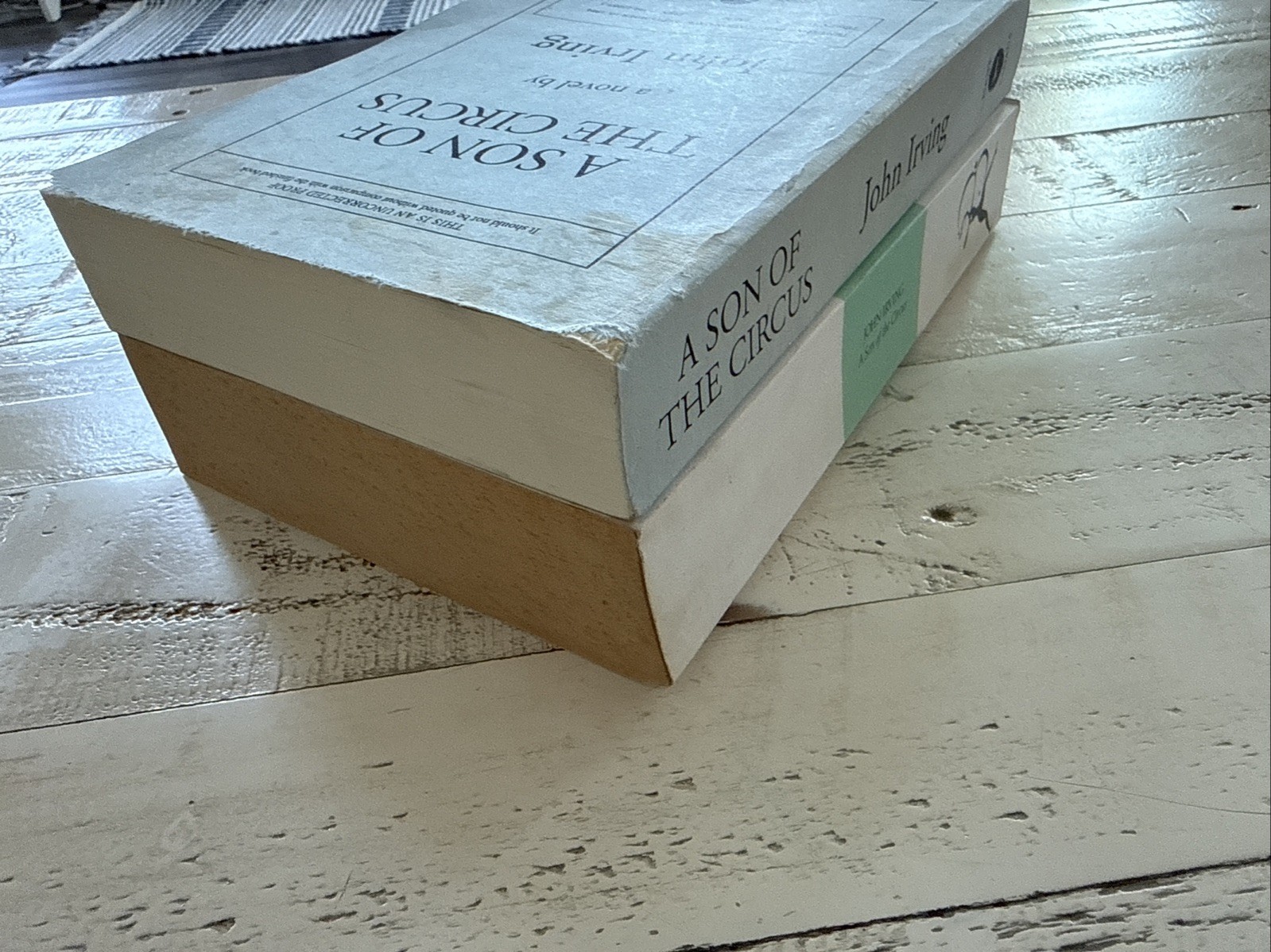 John Irving A Son of the Circus Uncorrected Proof Lot 2 PB Bloomsbury Knopf