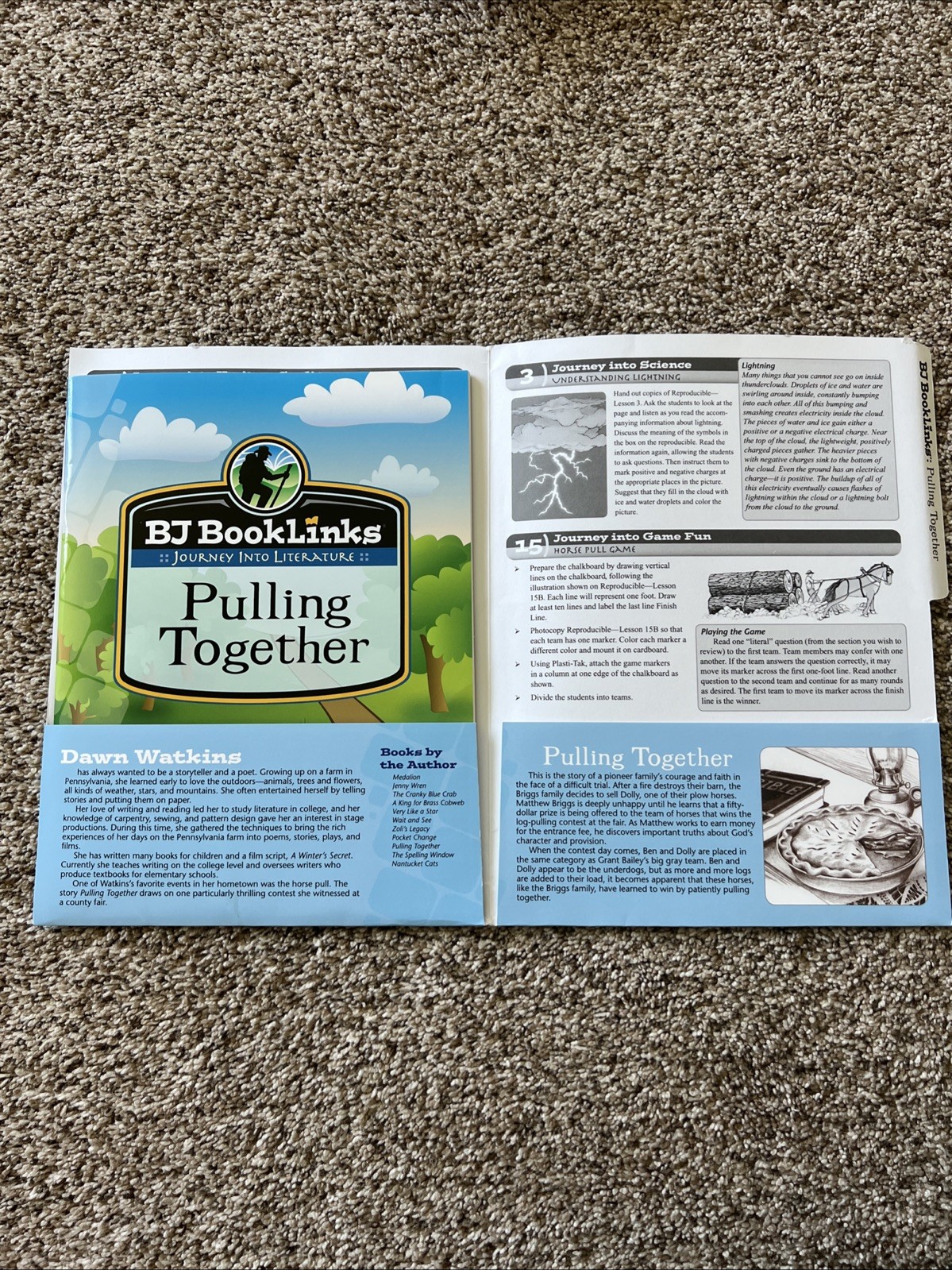 BJU 2nd Grade Booklinks: Pulling Together