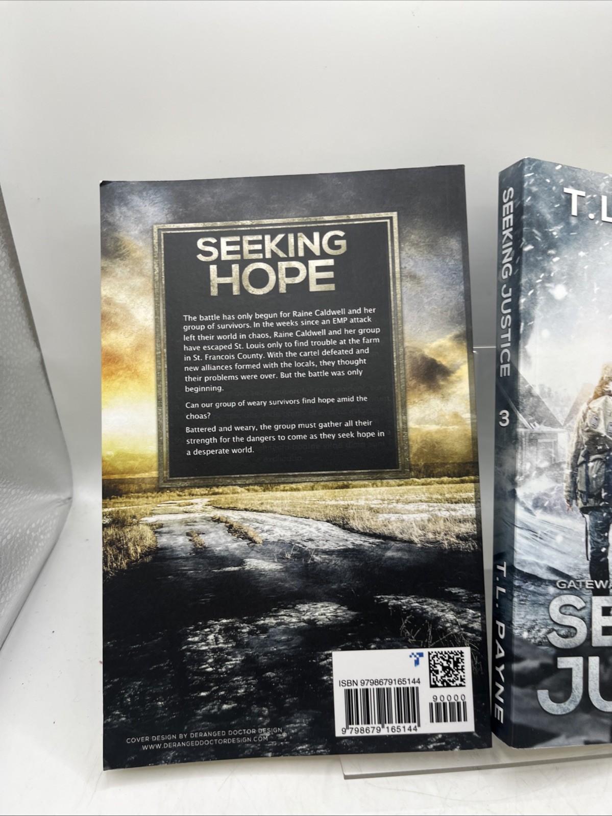 Gateway to chaos book series set of 2- Book 3 Seeking Hope & 4 Seeking Justice