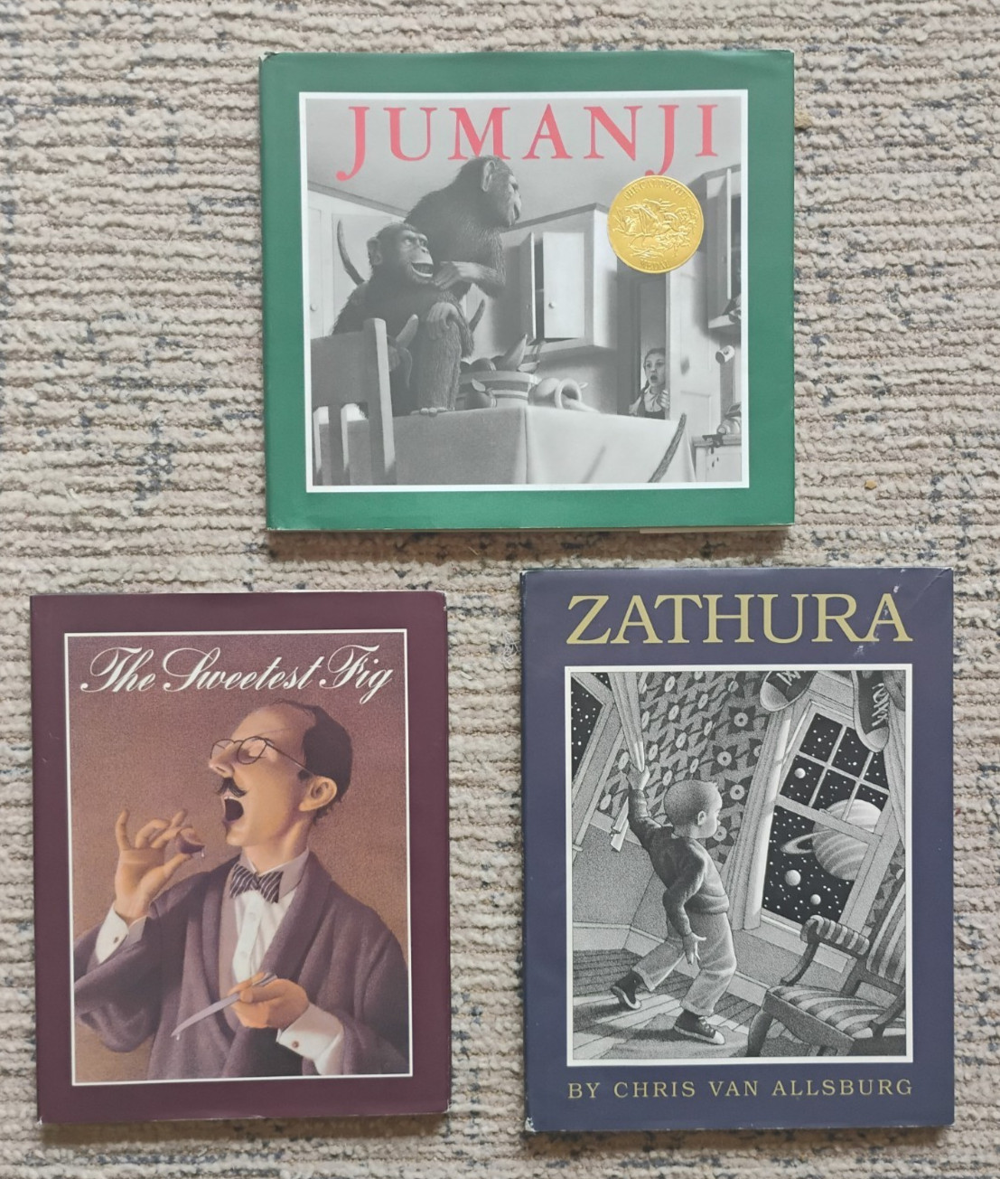 X3 Chris Van Allsburg HC Books Lot of 3 Zathura, Jumanji, Sweetest Fig