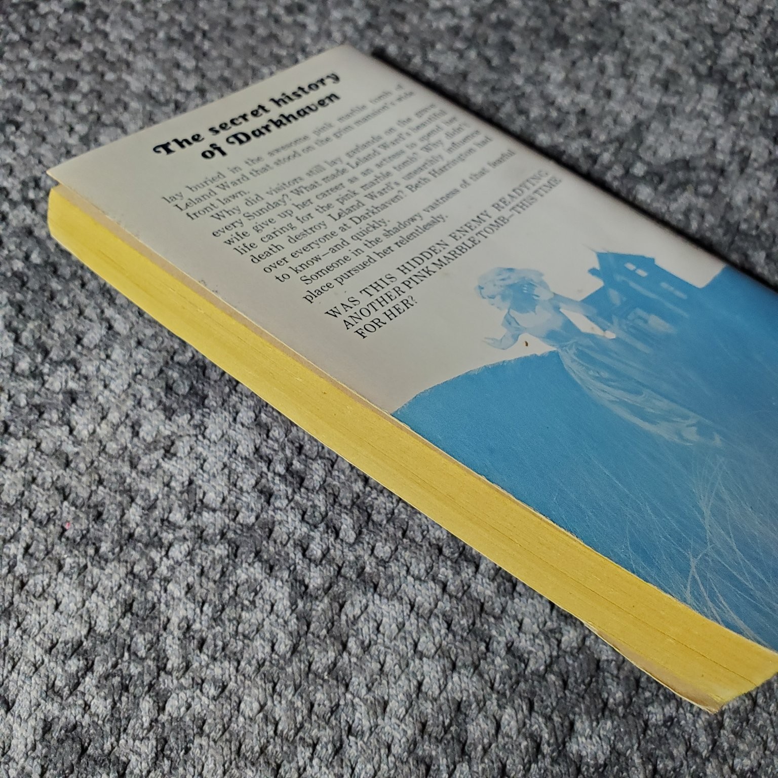 Darkhaven Dorothy Daniels 1969 Second Printing Paperback Library Gothic Novel