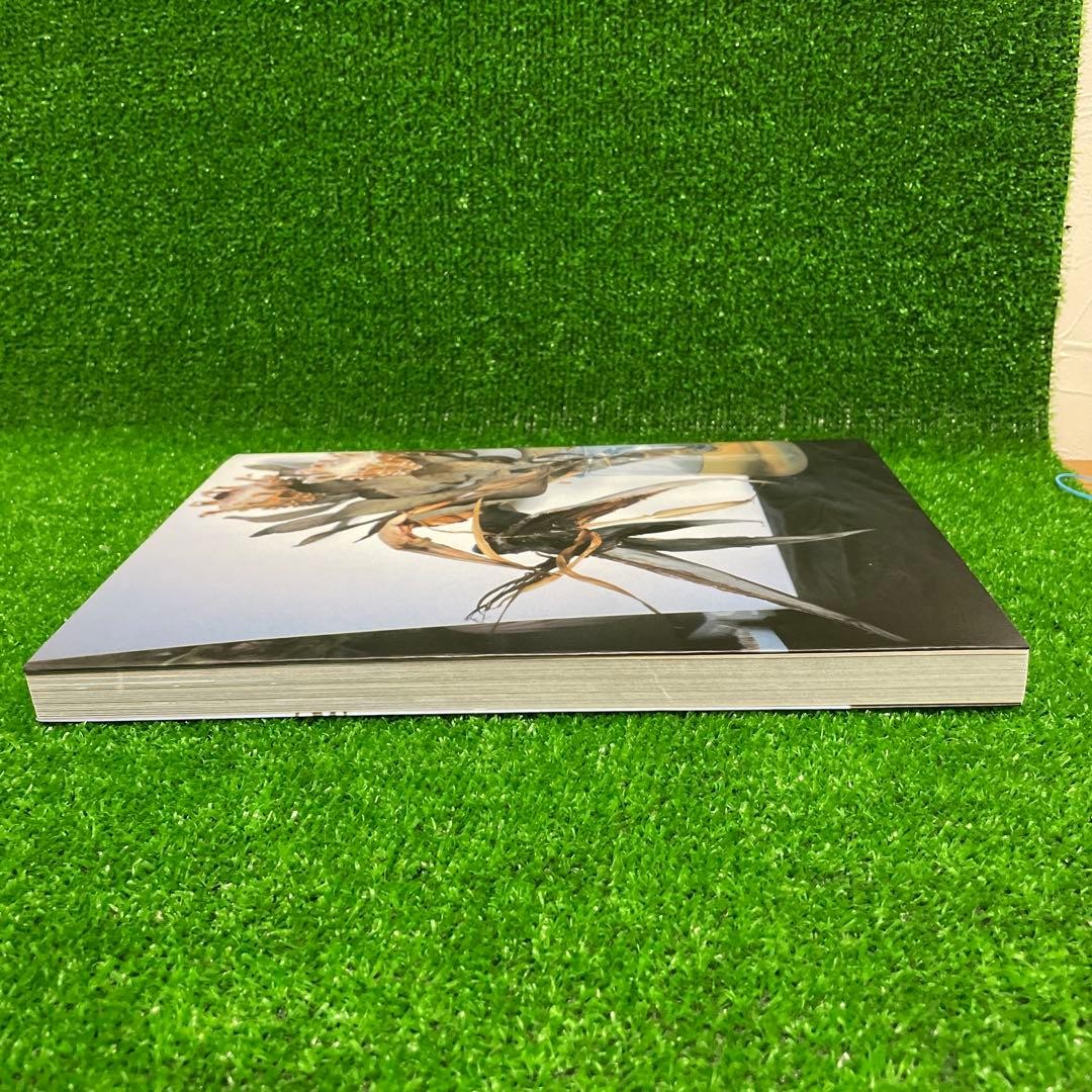 Nuuke Nobuyoshi Araki Photo Book 30x22cm Limited 1000 Softcover