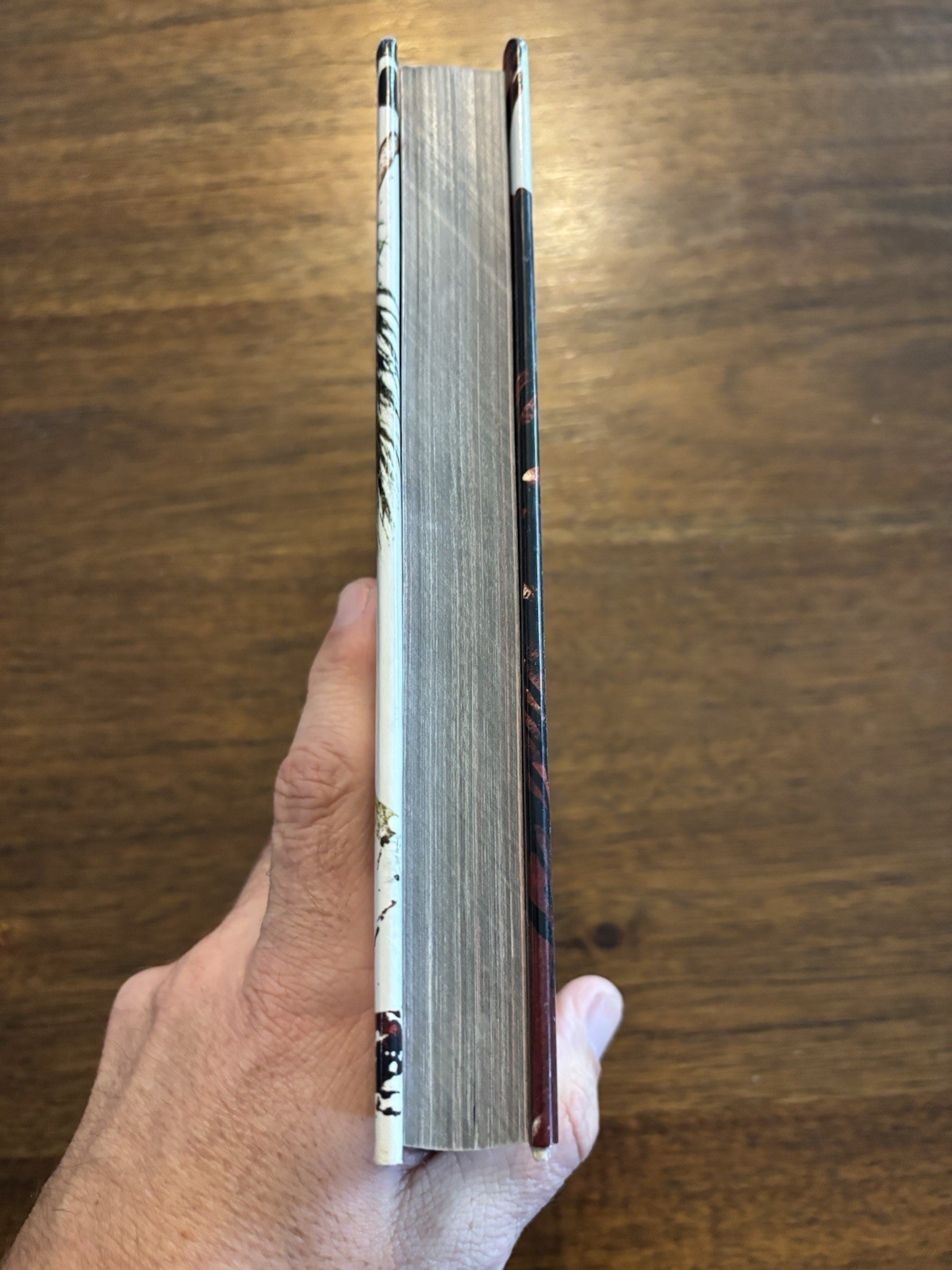 The Heroin Diaries By Nikki Sixx 1st Printing First Edition 2017 HCDJ