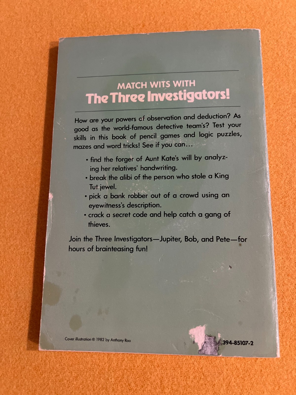 Three Investigators Book of Mystery Puzzles