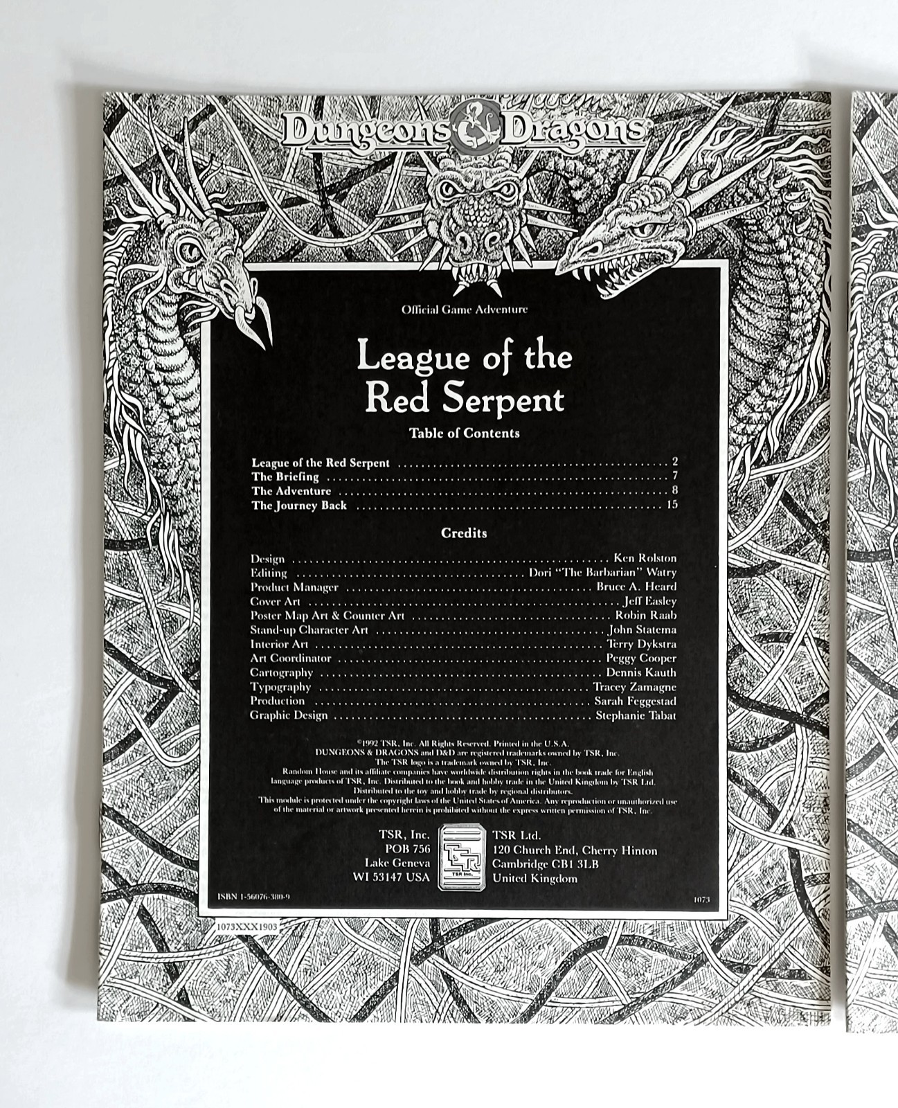 TSR Dungeons Dragons League Of The Red Serpent & Wild Dragon Den Adventure