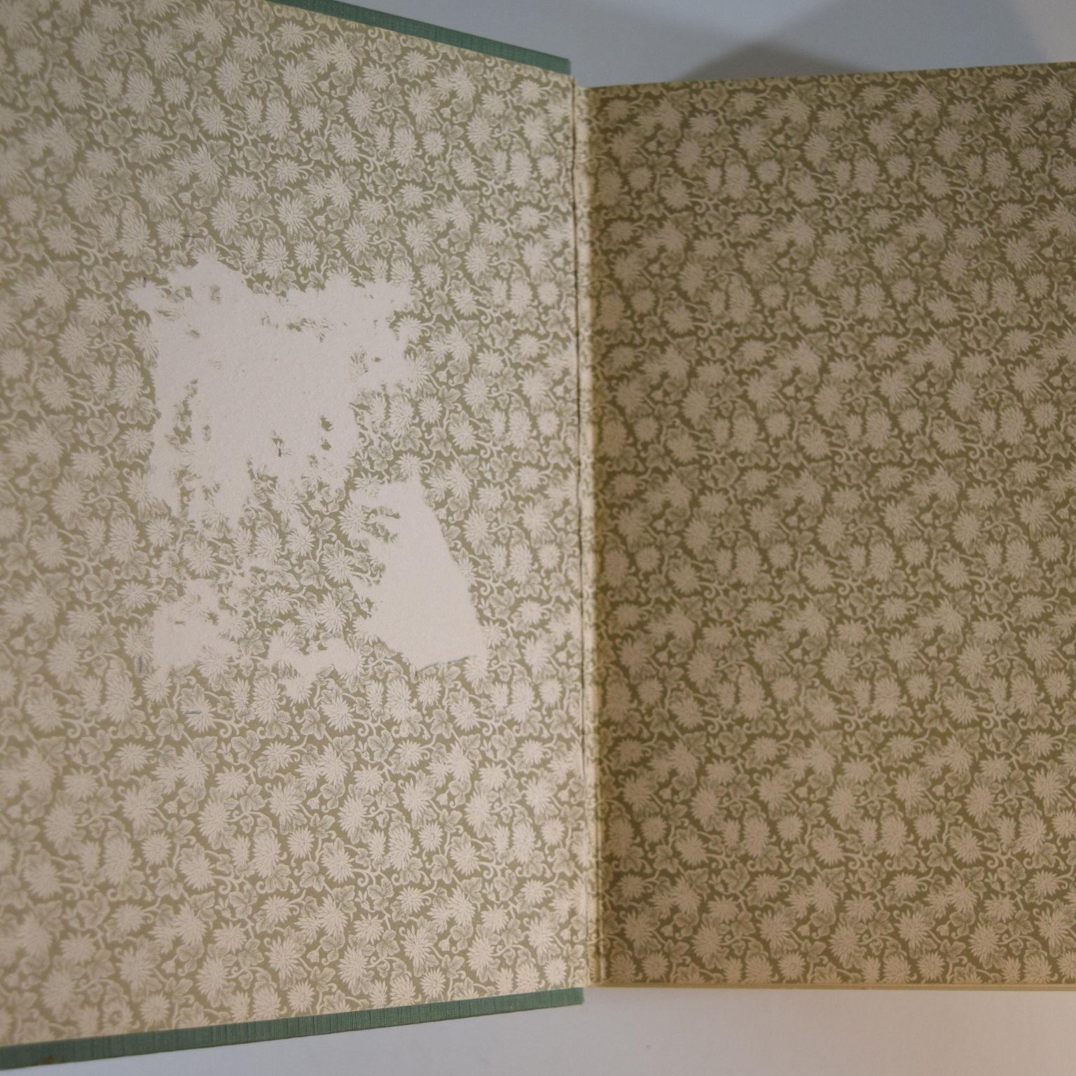 Bible Readings for the Home Circle 1919 Revised Illustrated Religion Review