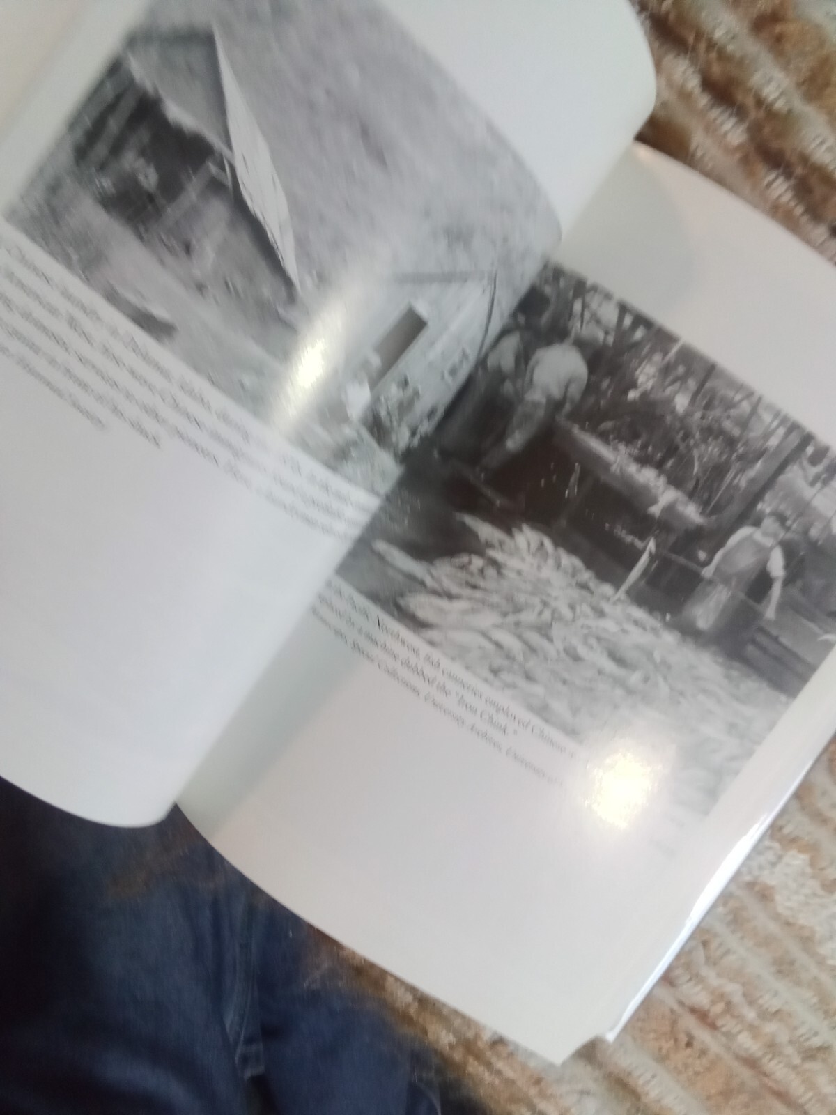 The Chinese in America: A Narrative History by Iris Chang (2003,HCDJ) identity