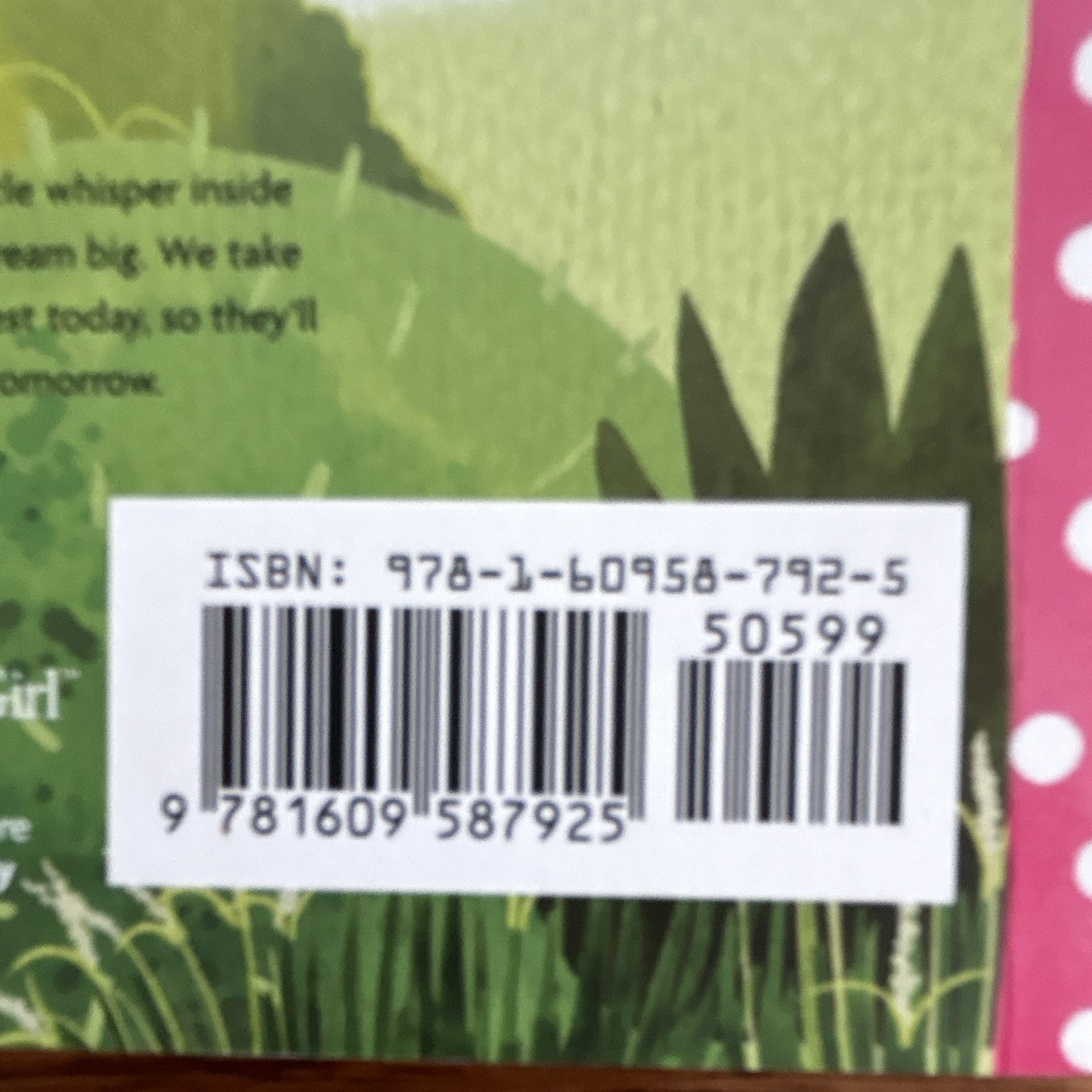 Ashlyn’s Unsurprise Party by Valerie Tripp (2016, Trade Paperback)